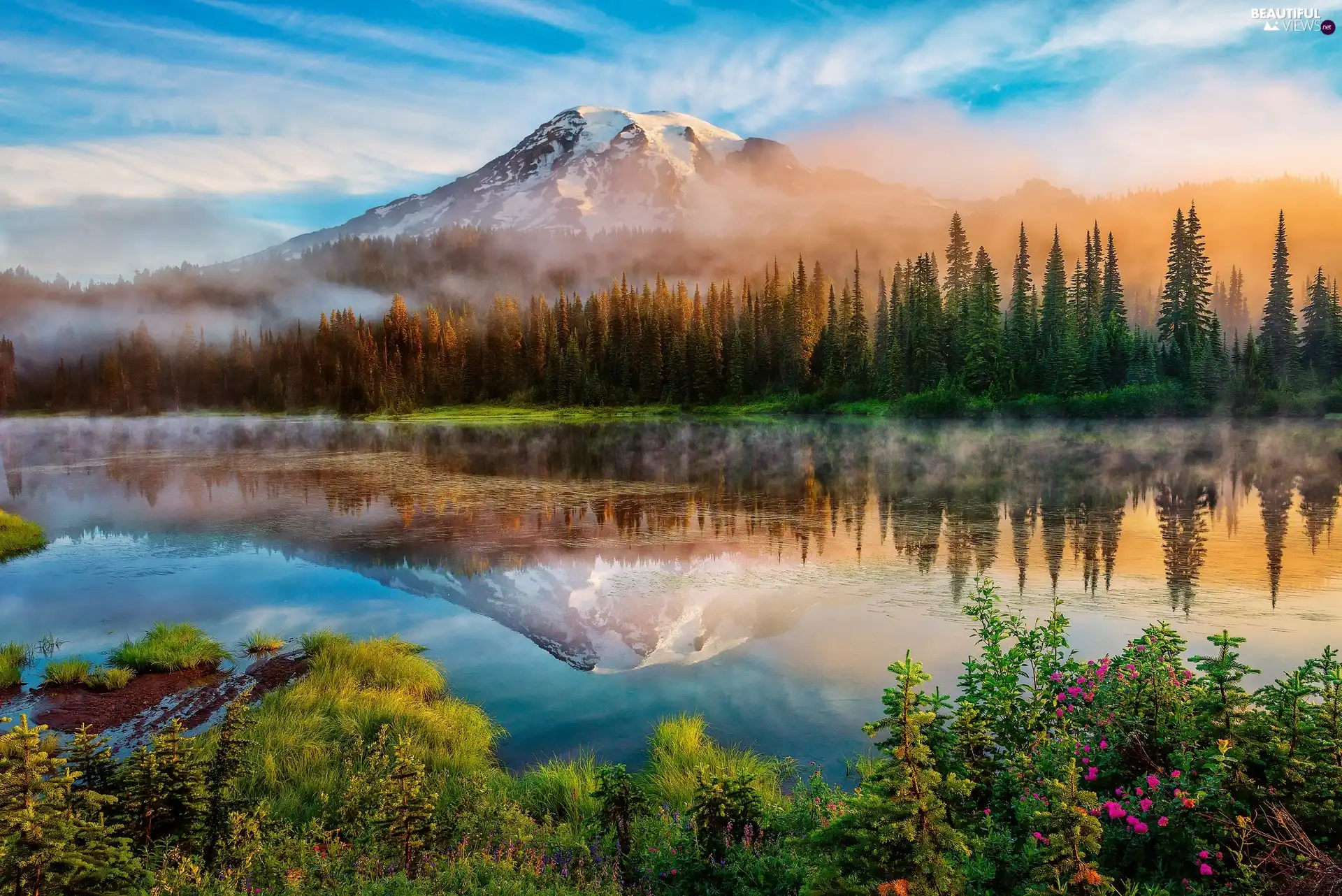 forest, lake, morning, reflection, Fog, Mountains