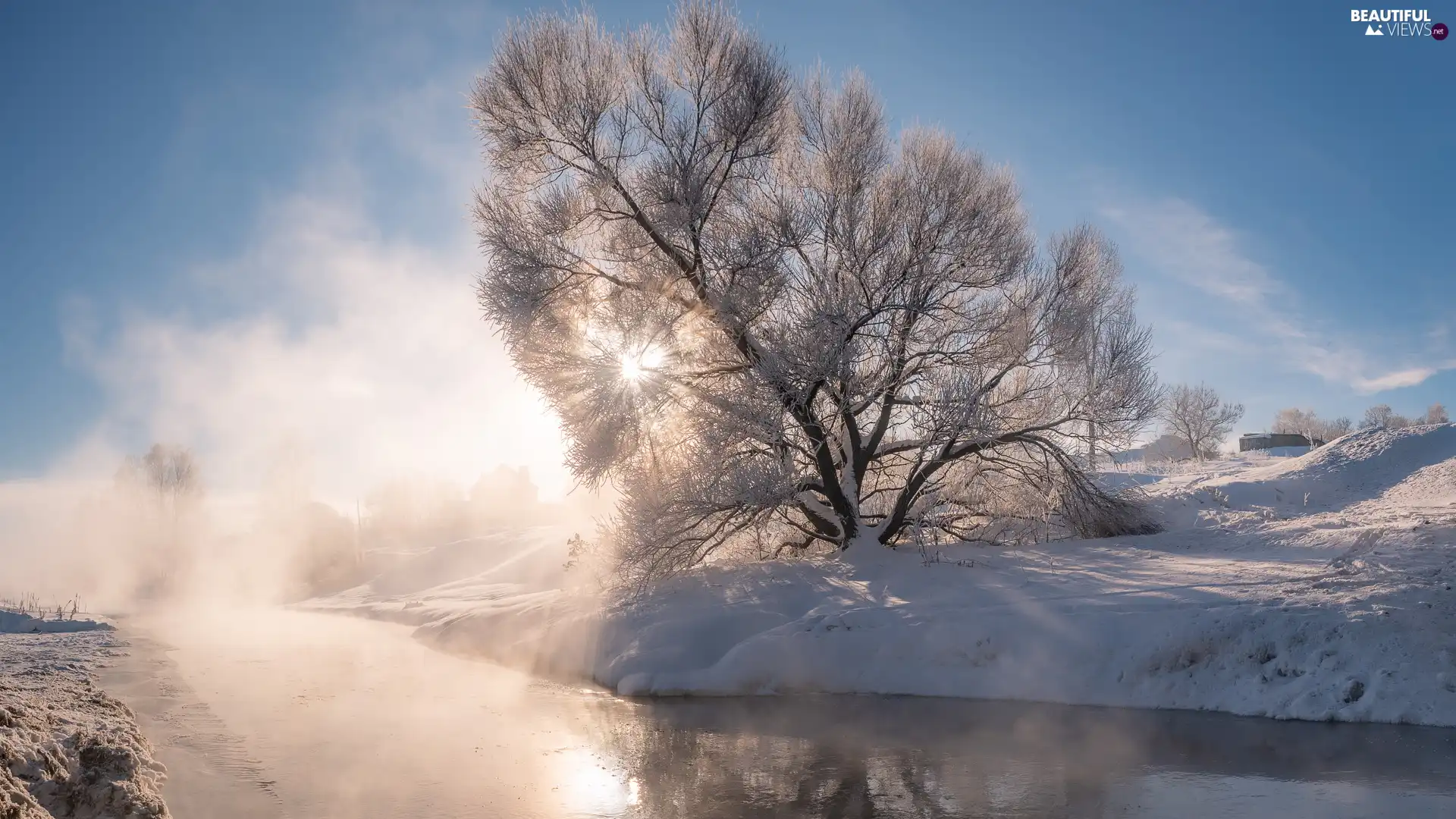 Snowy, winter, Fog, morning, trees, River