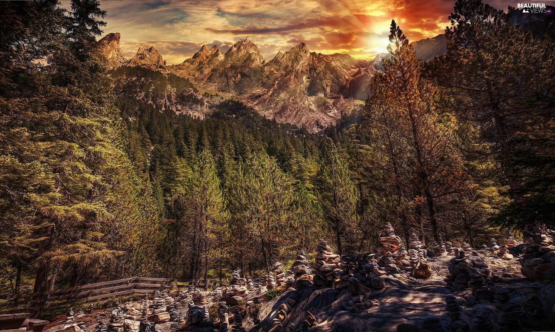 Bernese Alps, Stones, Sunrise, forest, morning, Canton of Bern, Switzerland, Mountains