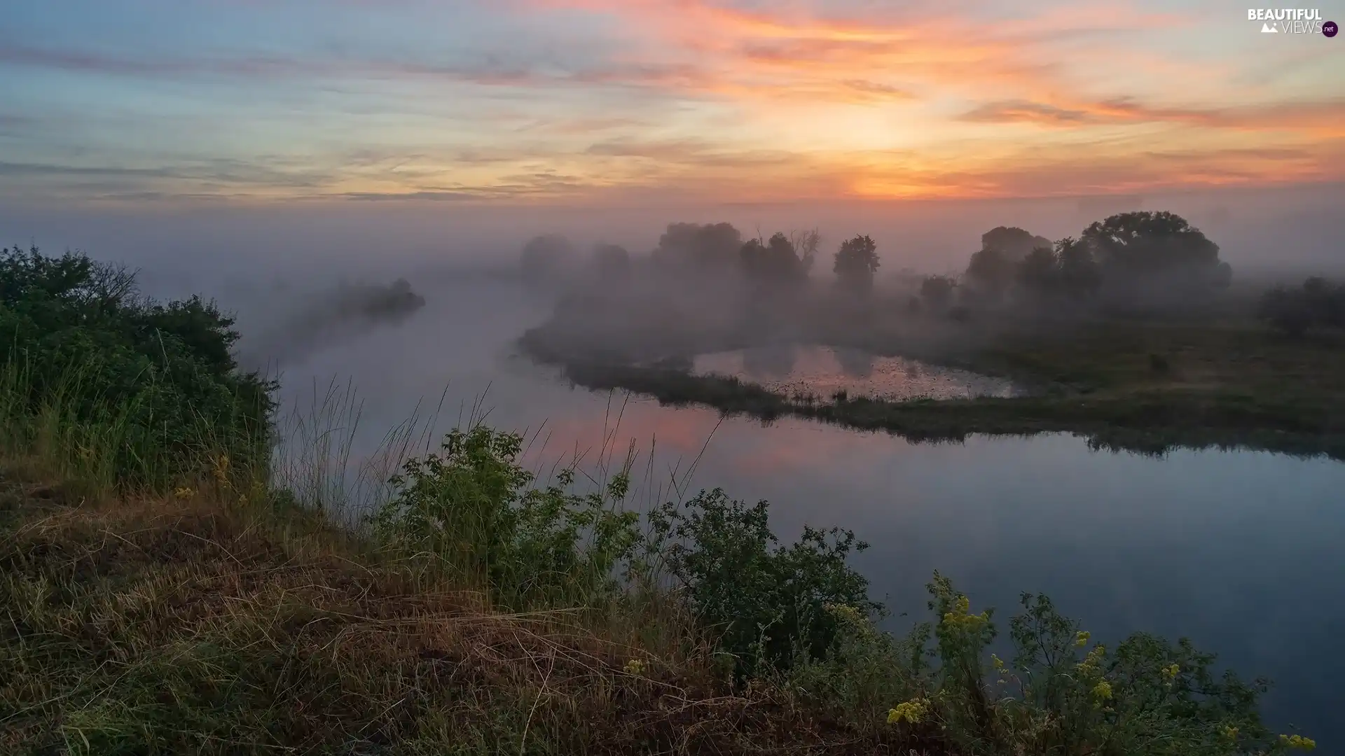 viewes, River, Sunrise, morning, Fog, trees