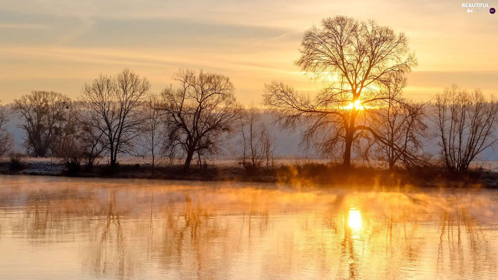 Sunrise, River, viewes, Moselle, Germany, trees, reflection