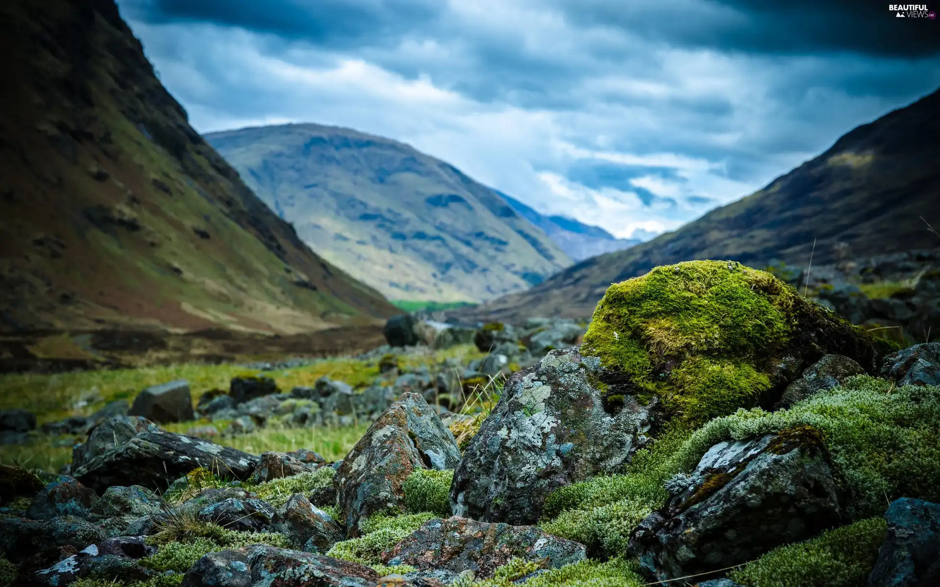 Moss, Mountains, Stones