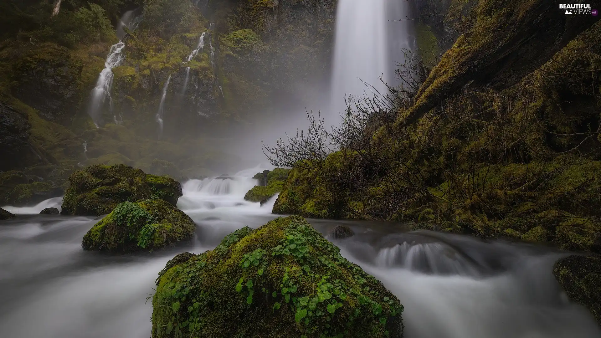 VEGETATION, waterfall, Stones, mossy, rocks, forest