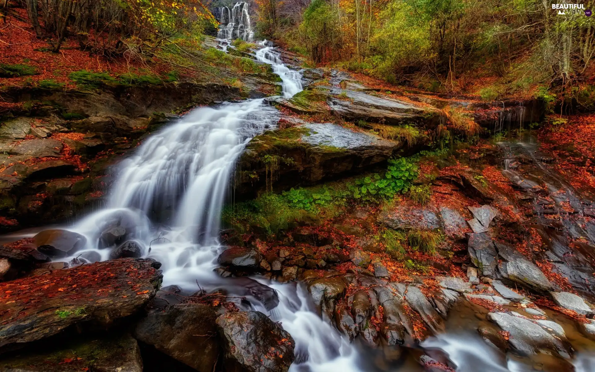 mossy, forest, viewes, Stones, waterfall, autumn, trees, VEGETATION, rocks, River