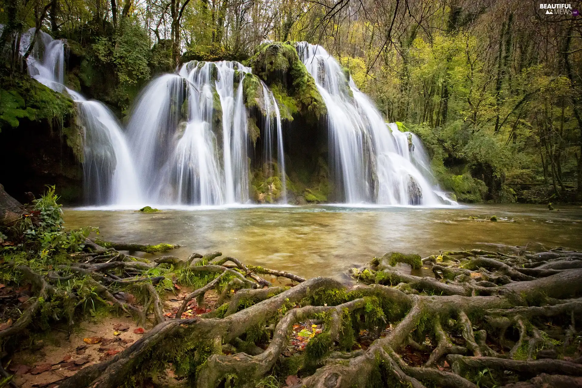 Rocks, River, roots, Mossy, waterfall, Stones, Plants