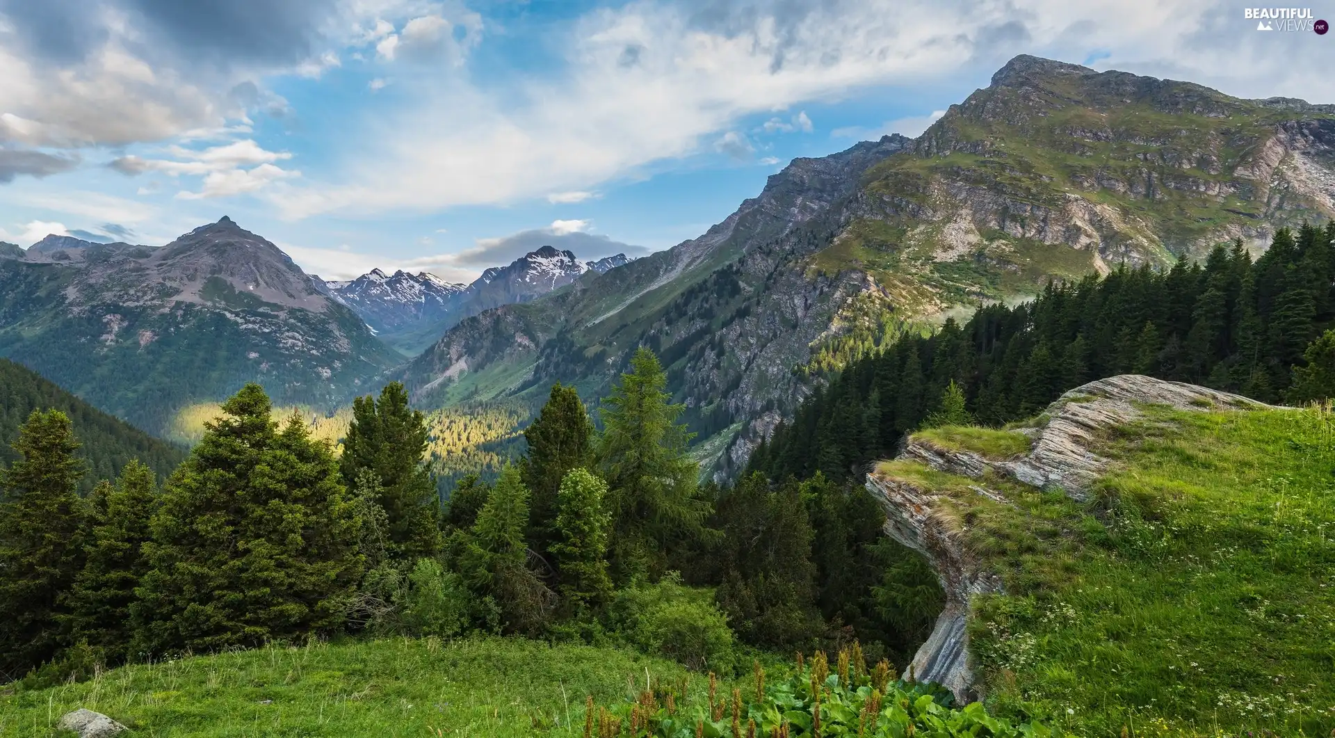 trees, viewes, Alps Mountains, Maloja Pass, Switzerland
