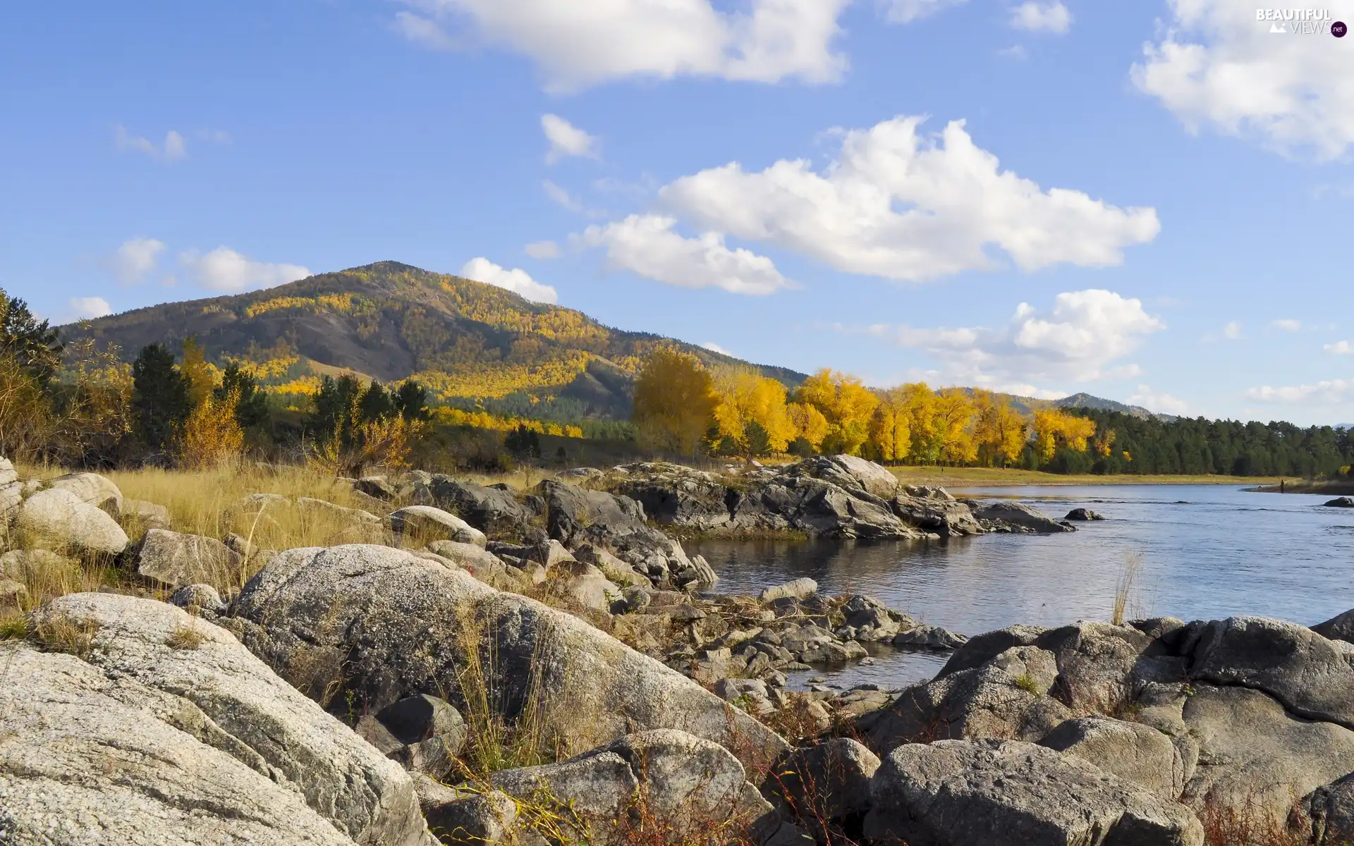 Mountains, autumn, rocks, woods, River