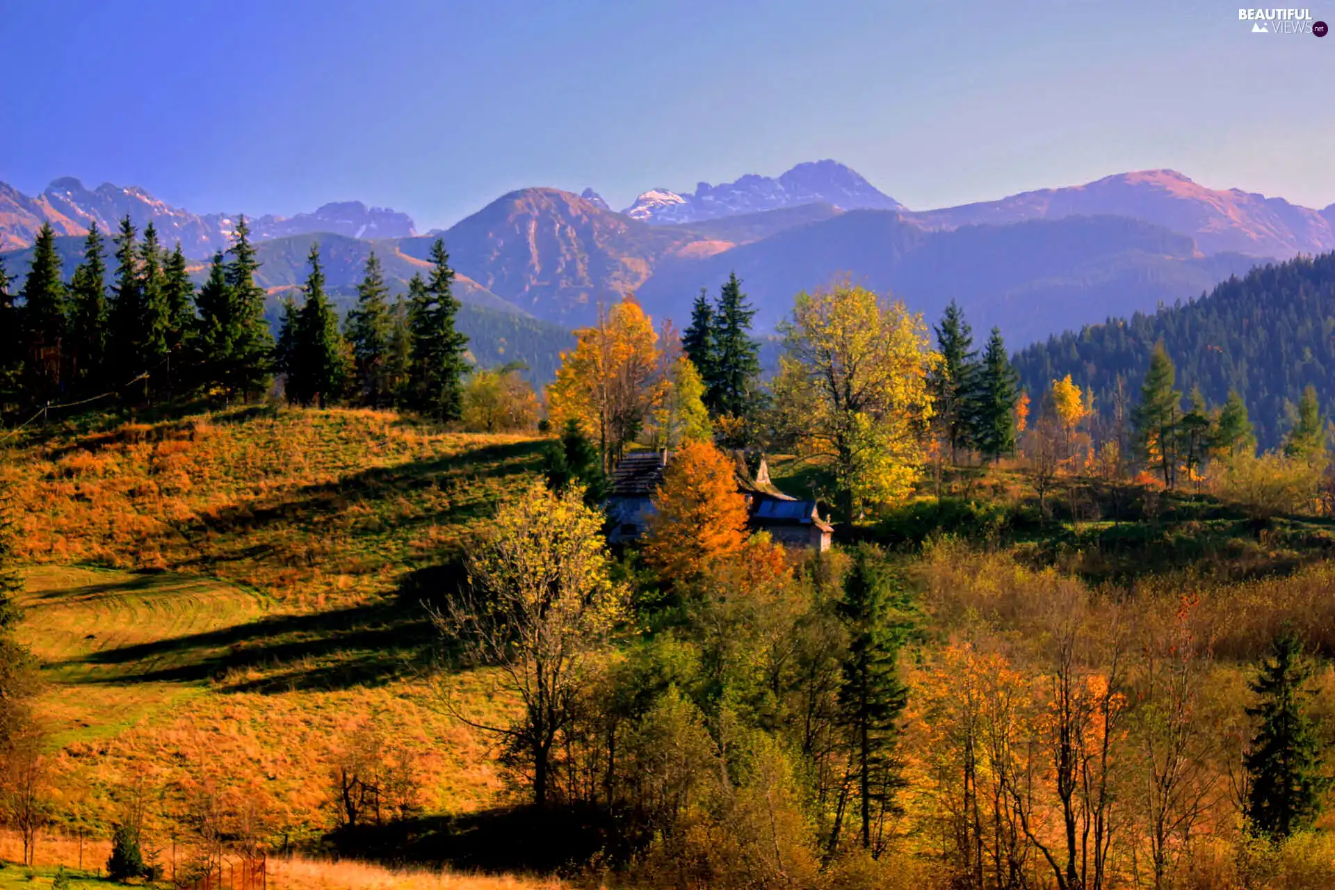 autumn, viewes, Mountains, trees