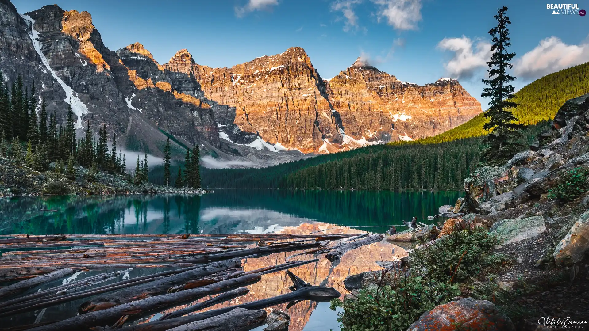 viewes, Moraine Lake, Mountains, Alberta, forest, lake, Logs, Canada, Banff National Park, trees