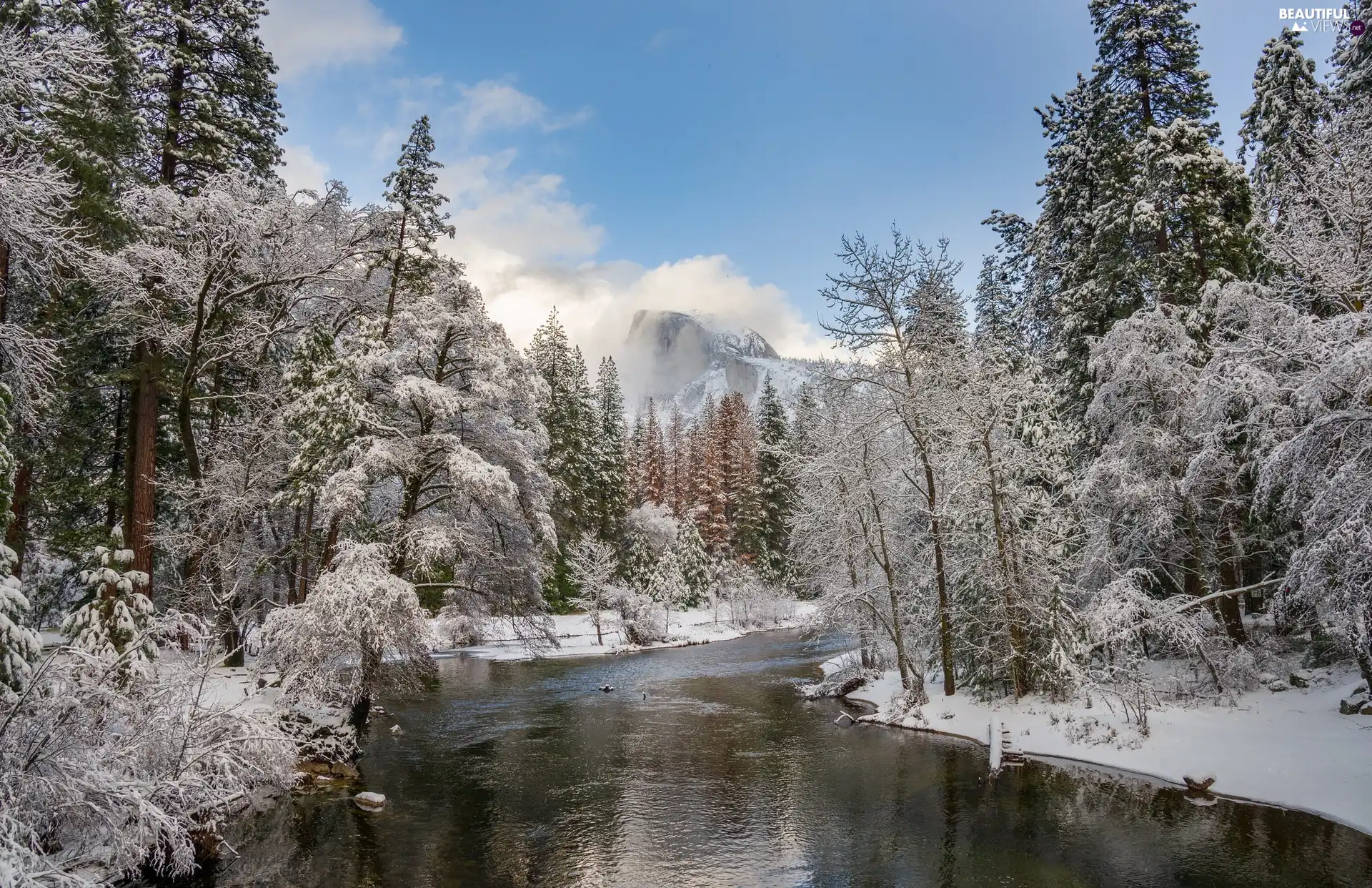 El Capitan Peak, Yosemite National Park, trees, California, viewes, winter, winter, The United States, Merced River, Mountains