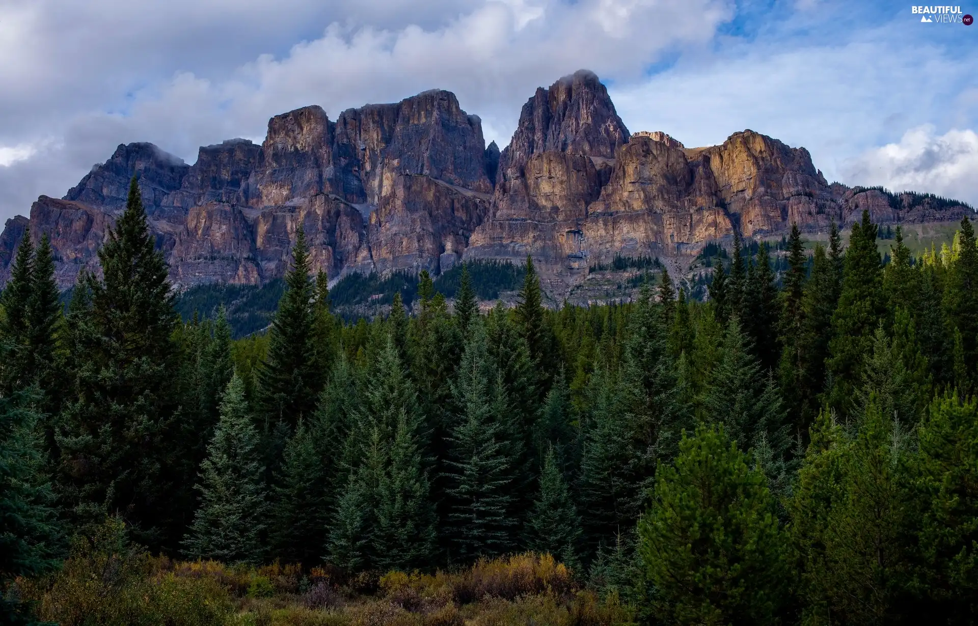 Castle Mountain, Banff National Park, trees, Mountains, Canada, forest, viewes