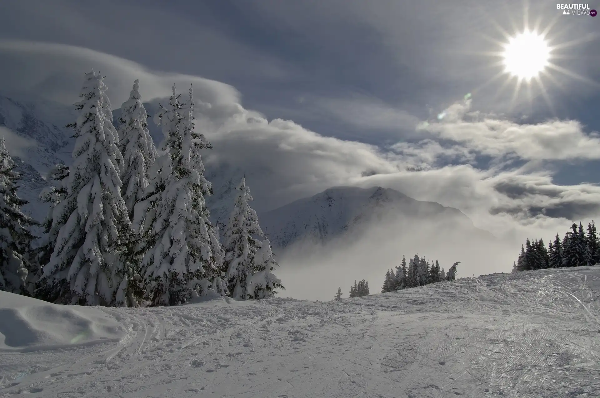 Spruces, winter, clouds, Mountains, rays of the Sun