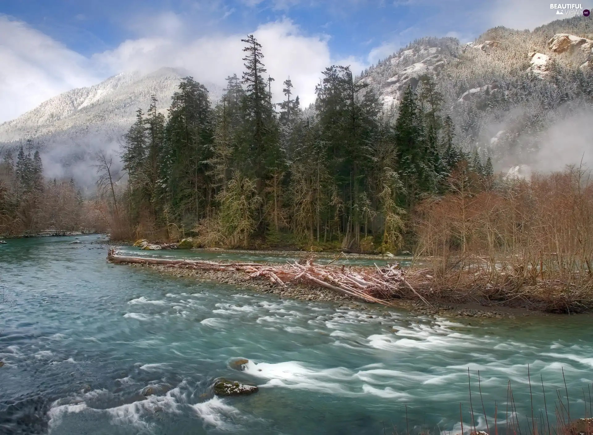 Mountains, Fog, trees, viewes, River