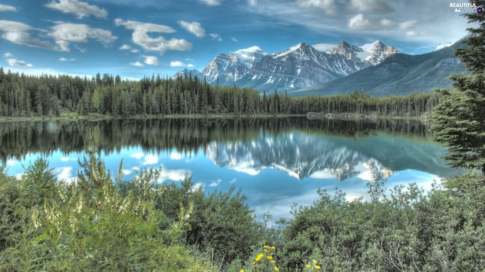 Mountains, lake, forest