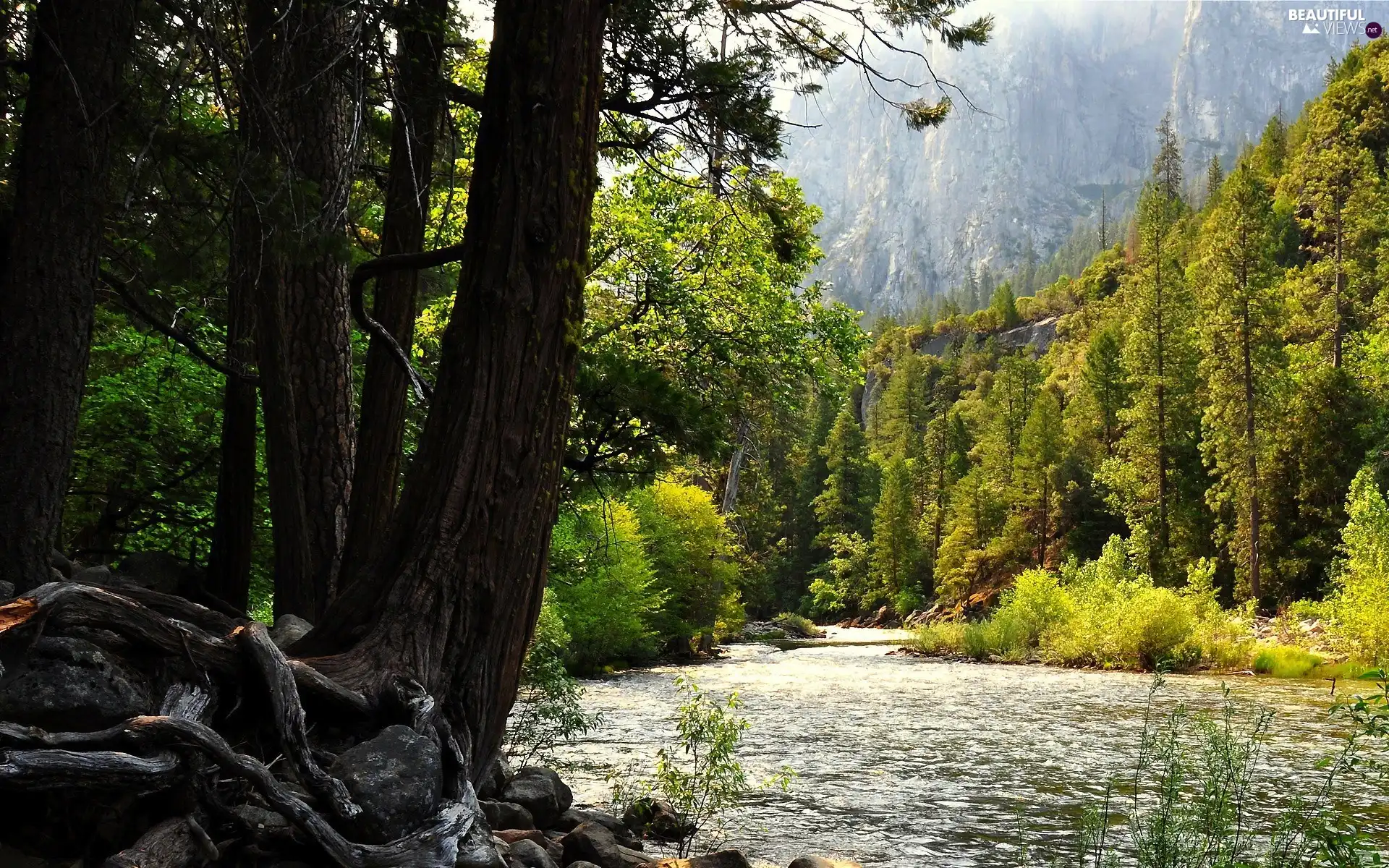 Mountains, River, forest