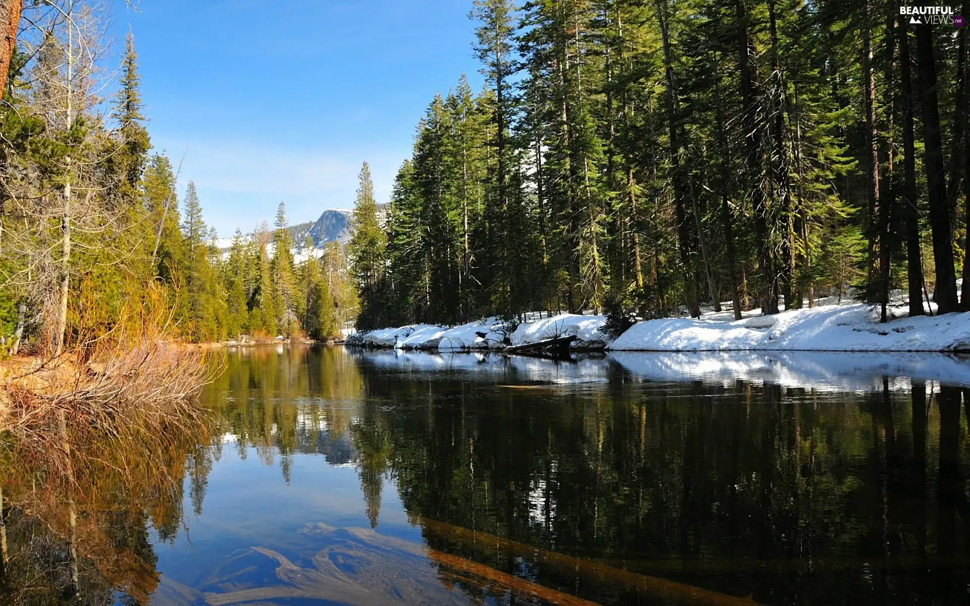 Mountains, River, forest