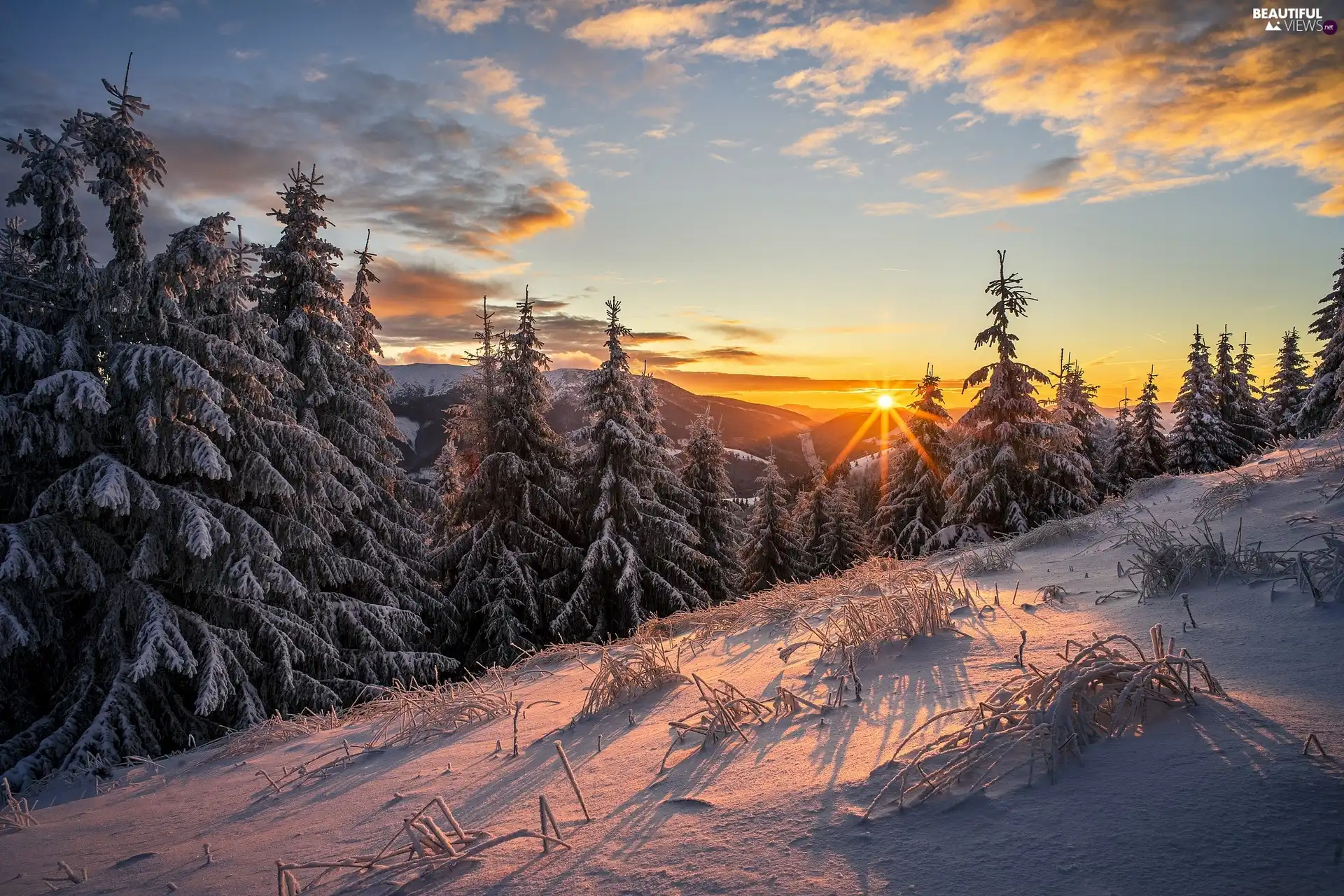 trees, Sunrise, forest, Mountains, winter, viewes, snow