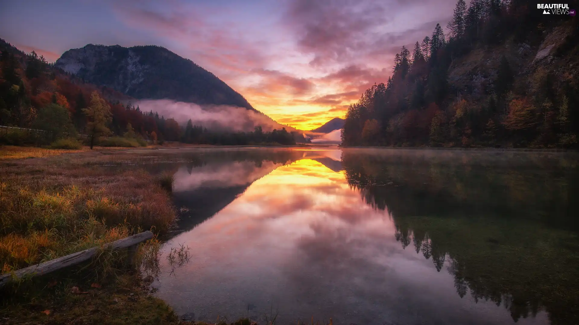 Fog, lake, forested, The Hills, Great Sunsets, Mountains