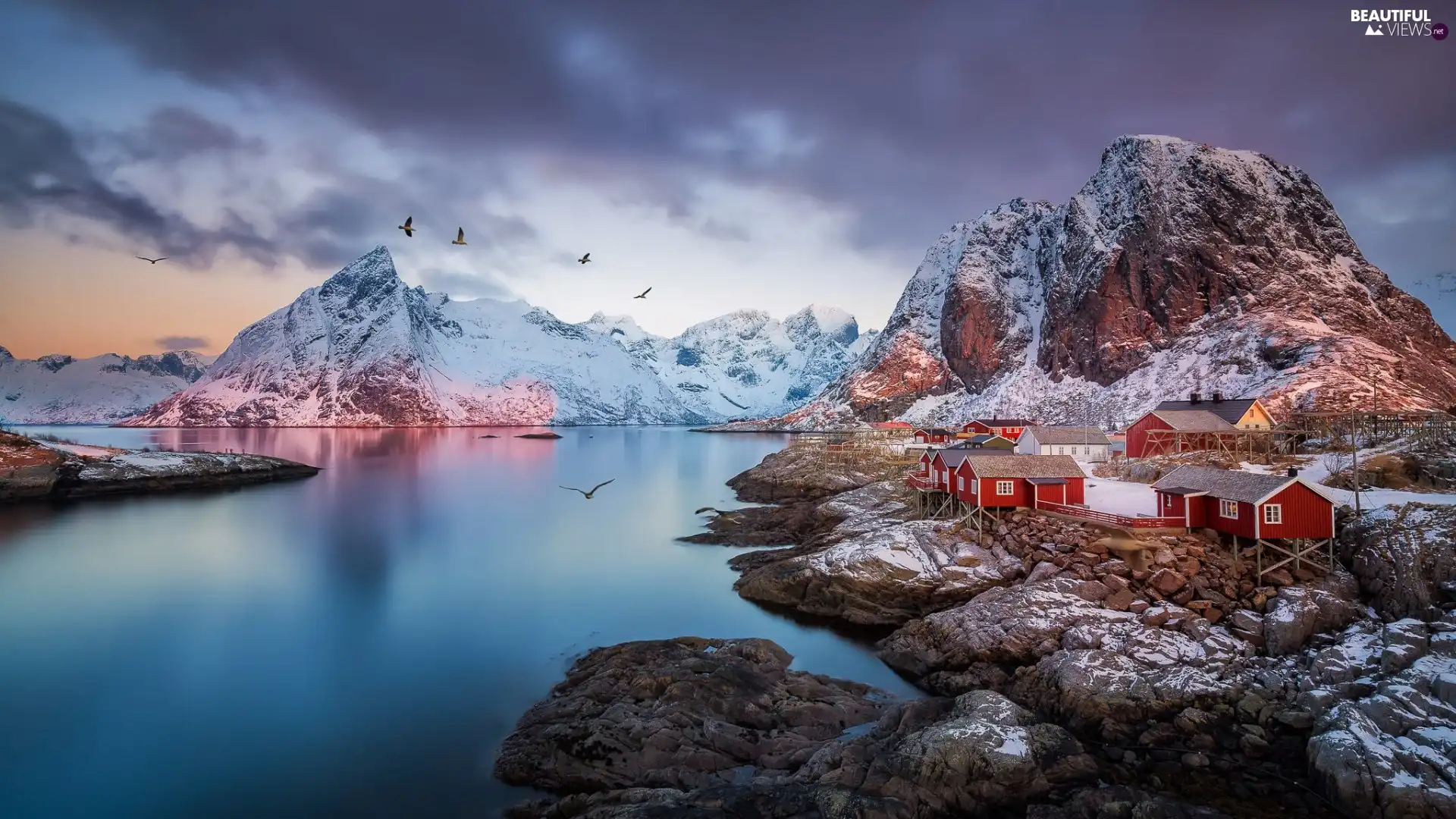 Mountains, Norway, Houses, birds, Reine Village, Lofoten