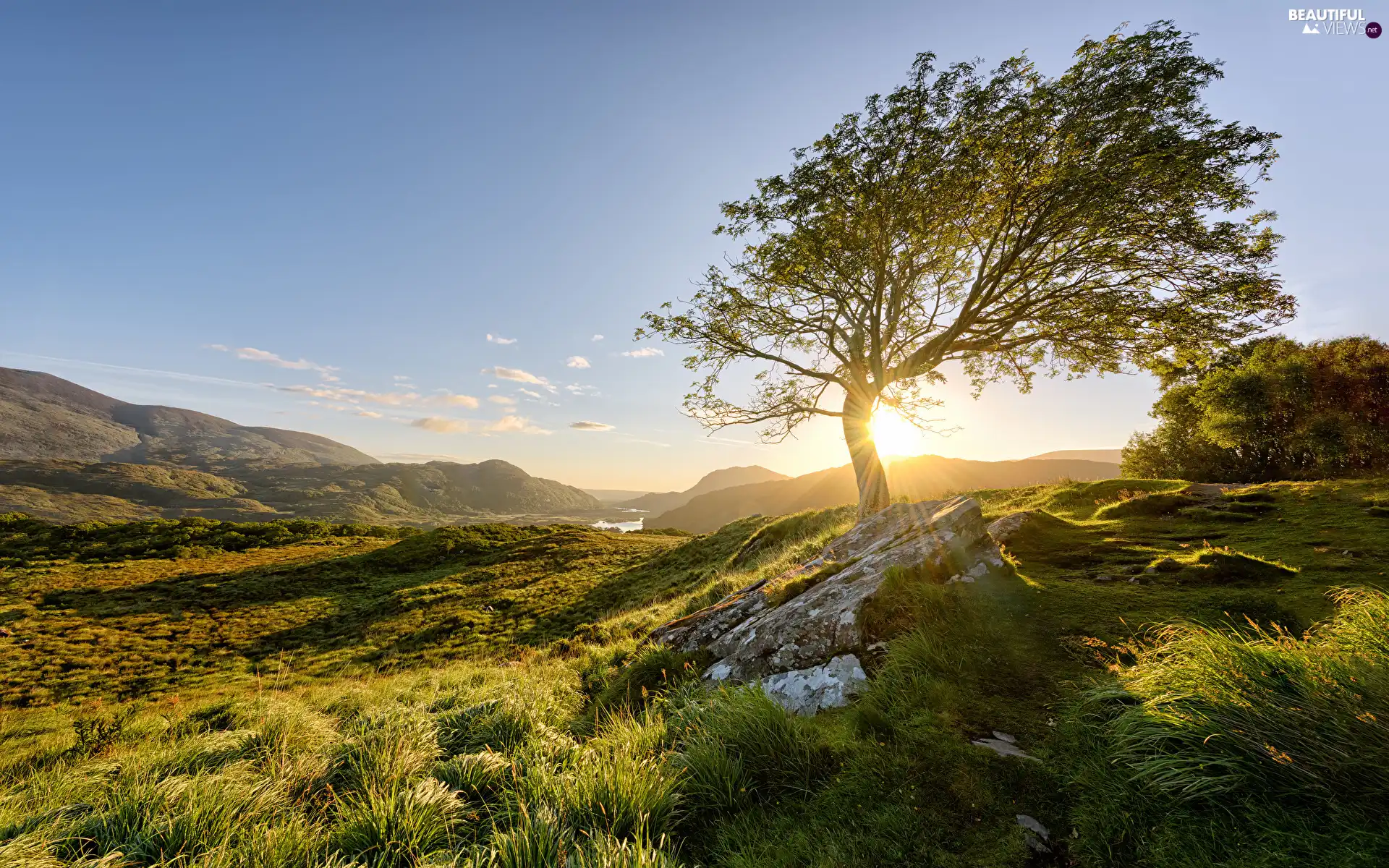 Mountains, Killarney National Park, grass, Sunrise, Ireland, trees, Stones