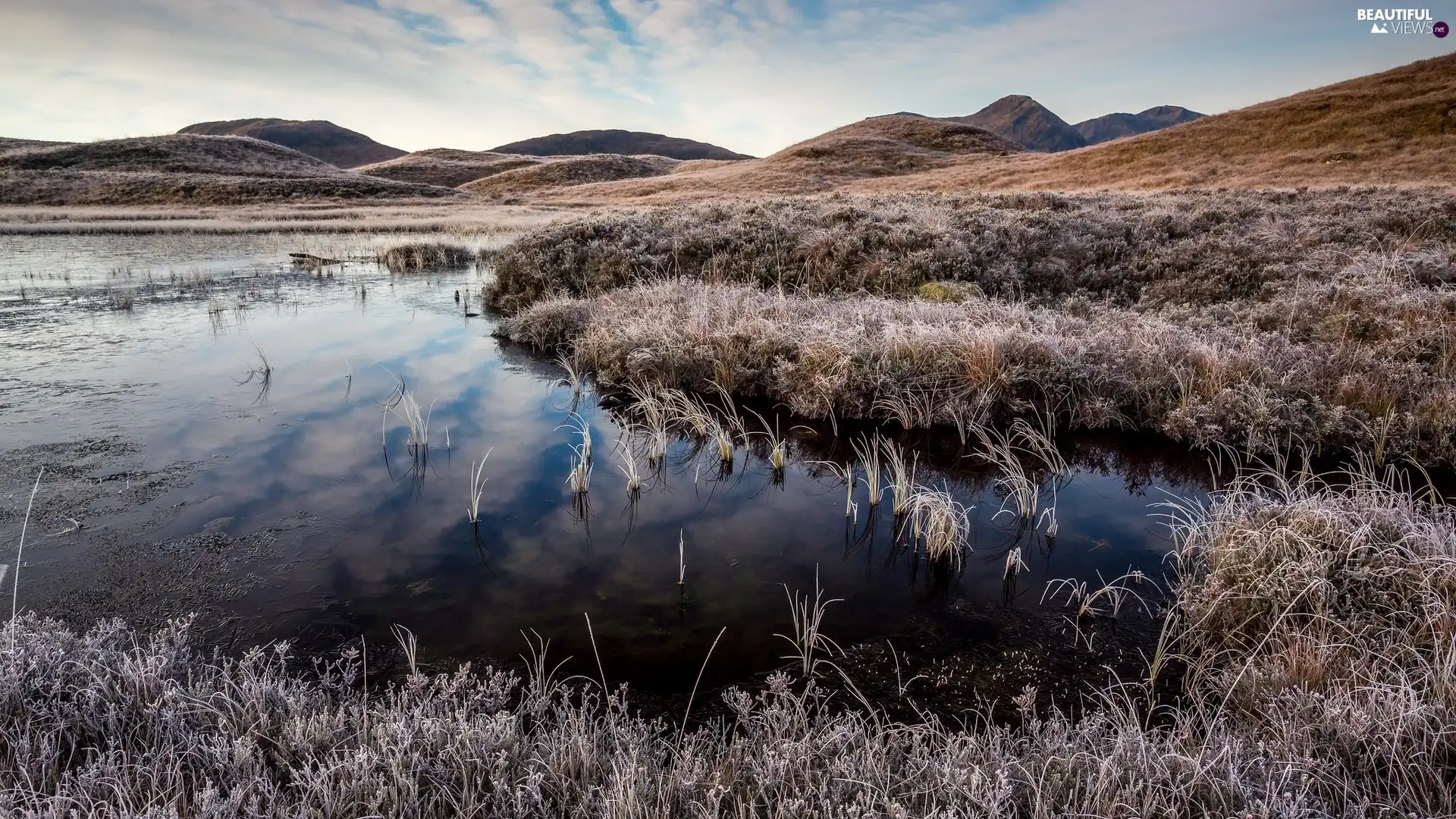 lake, frosted, grass, Mountains