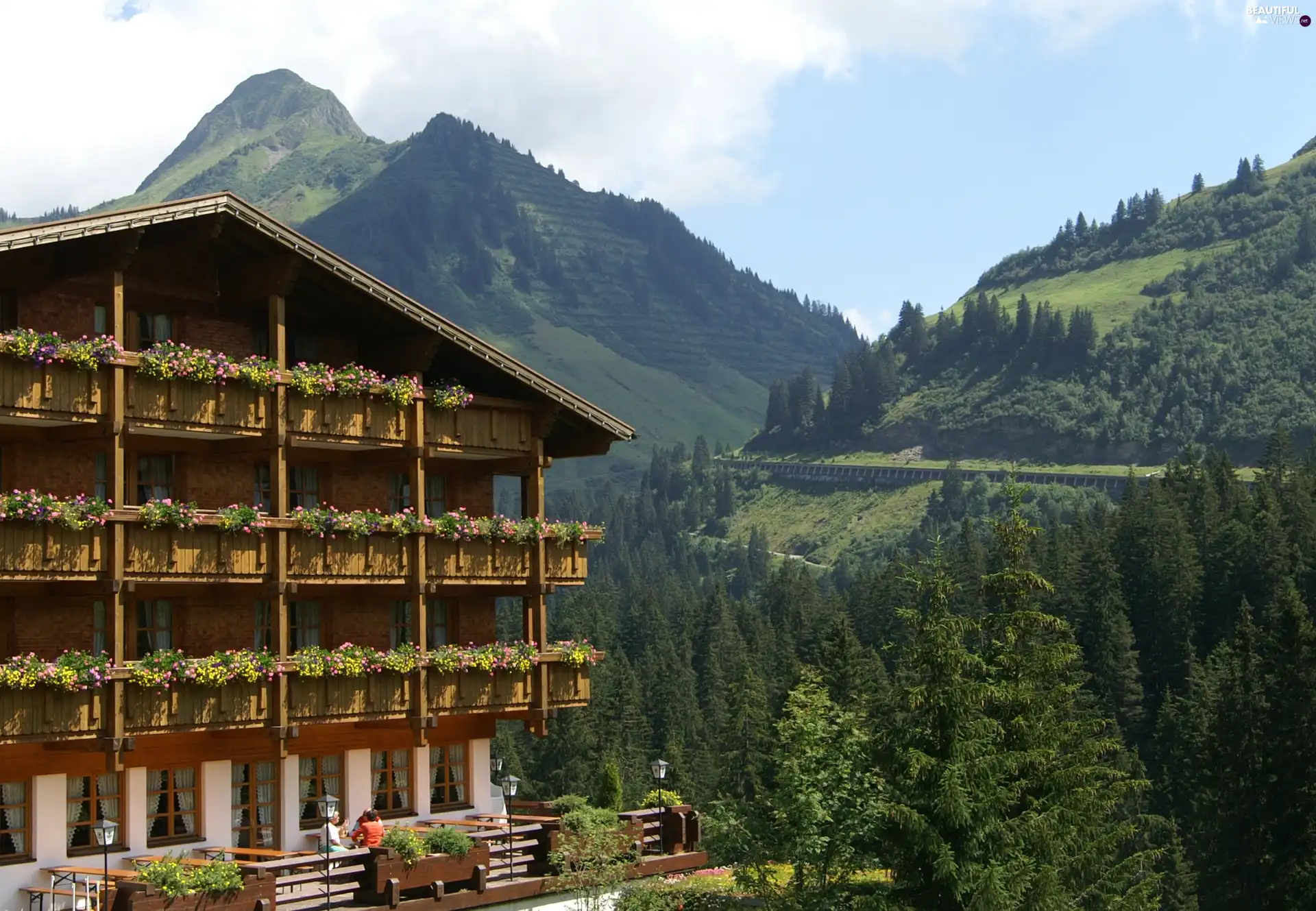 Austria, Damuls, trees, Madlener, Hotel hall, Mountains, viewes