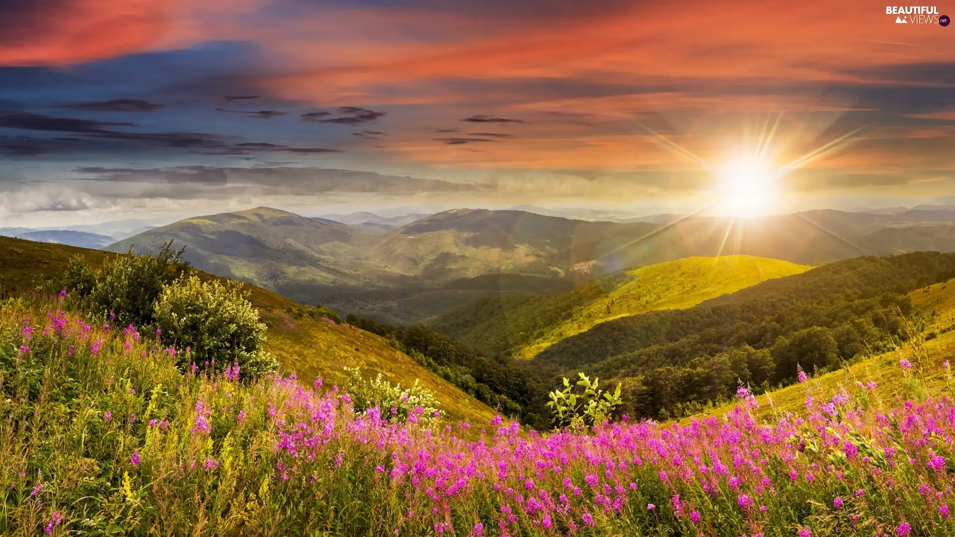 VEGETATION, rays of the Sun, Valley, Flowers, Mountains