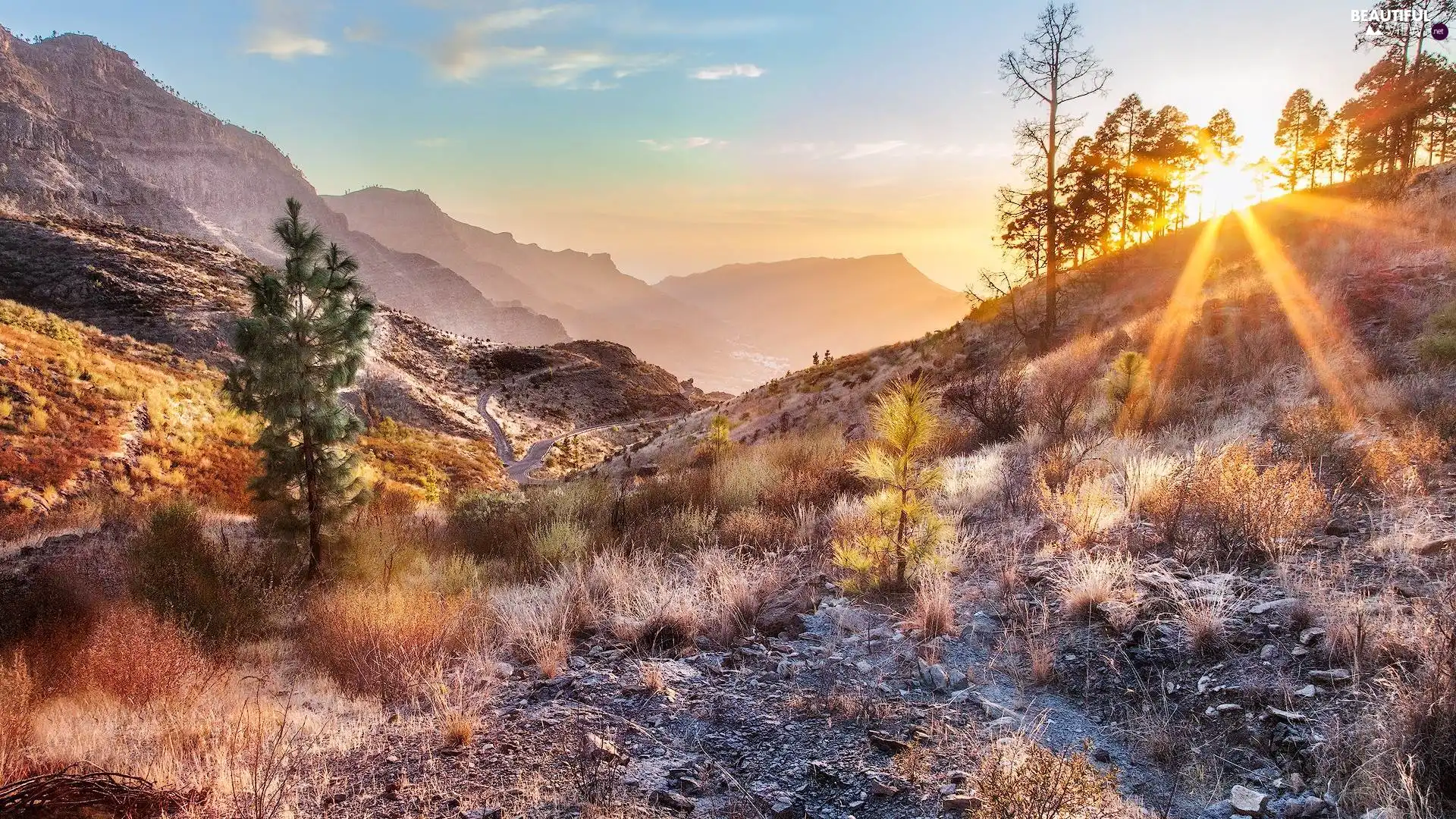 Plants, rays of the Sun, trees, viewes, Mountains