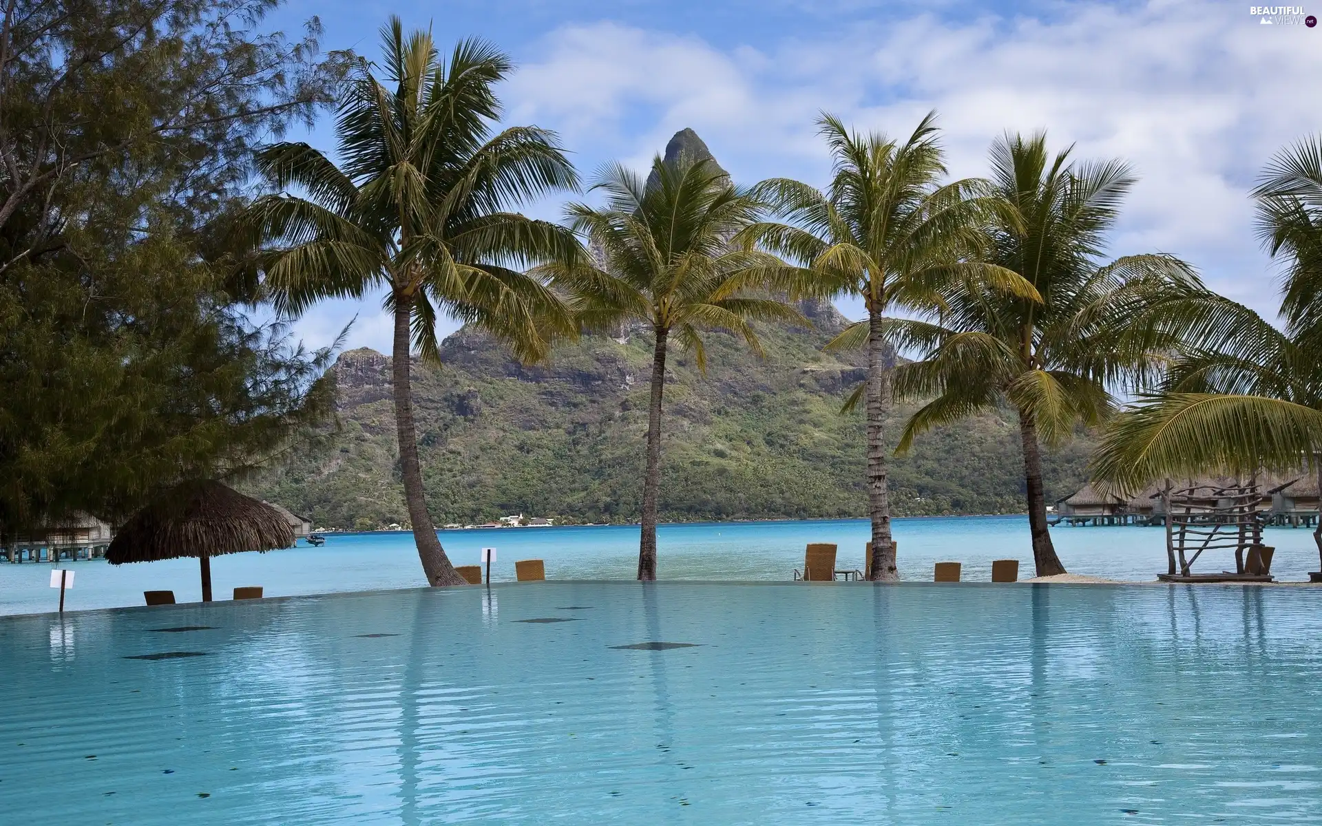 Pool, Palms, Mountains, Gulf