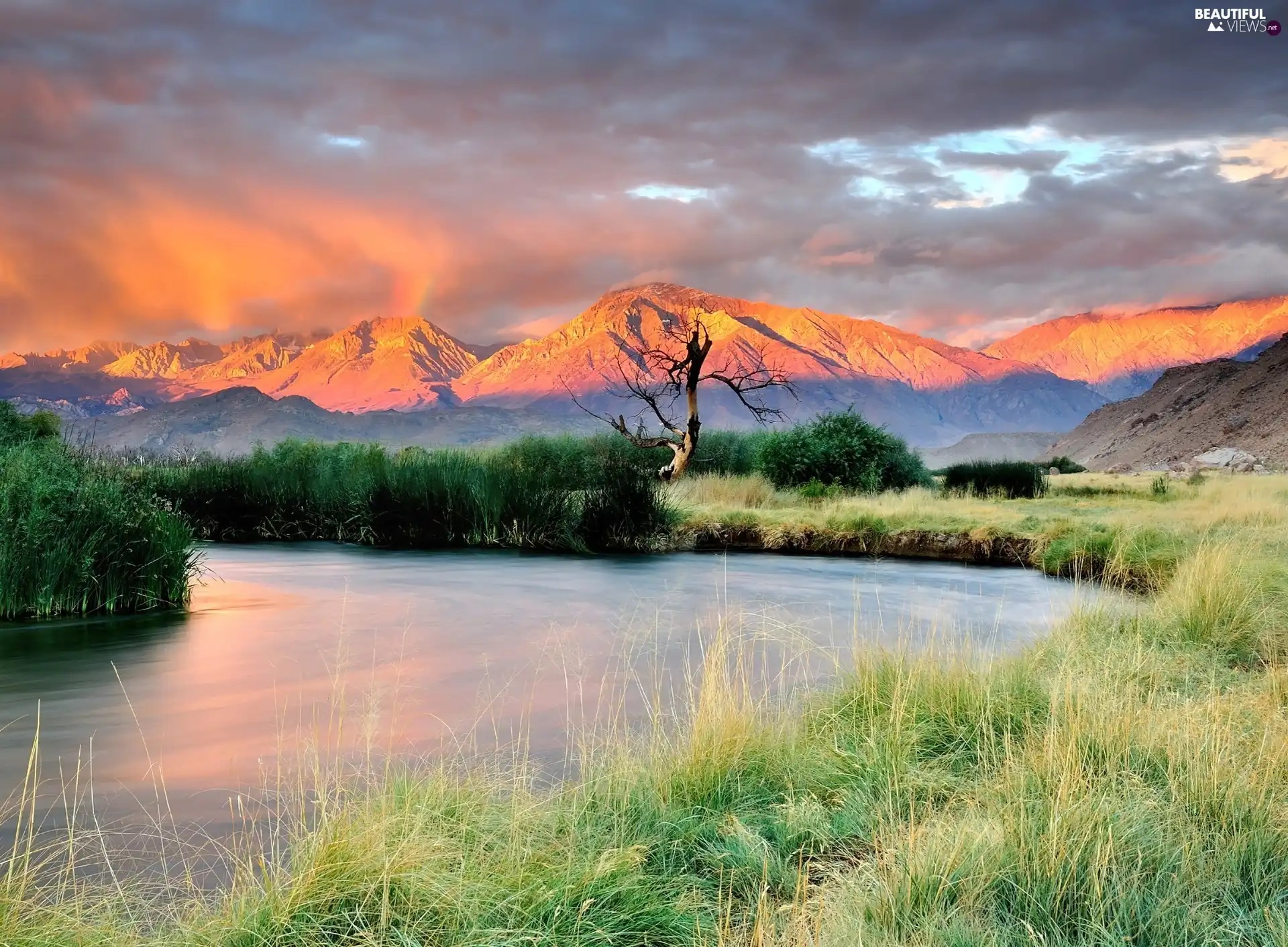 River, Bush, Mountains, scrub