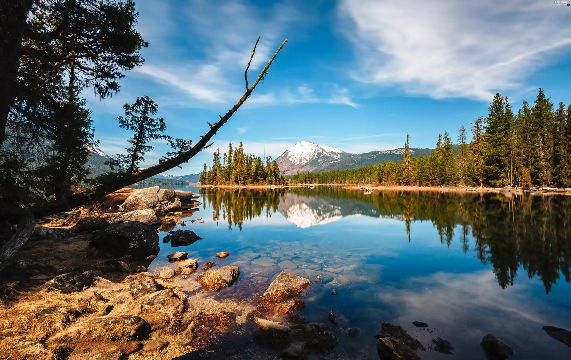 River, Stones, Mountains, forest