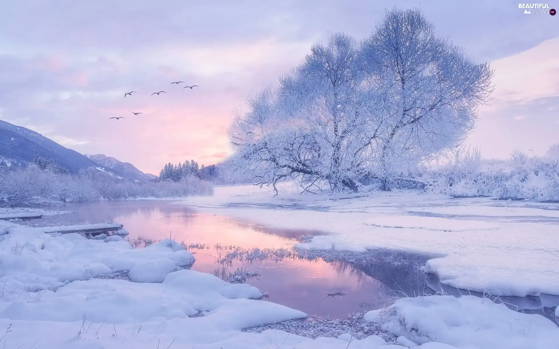 River, Mountains, birds, frosty, viewes, Sunrise, winter, trees