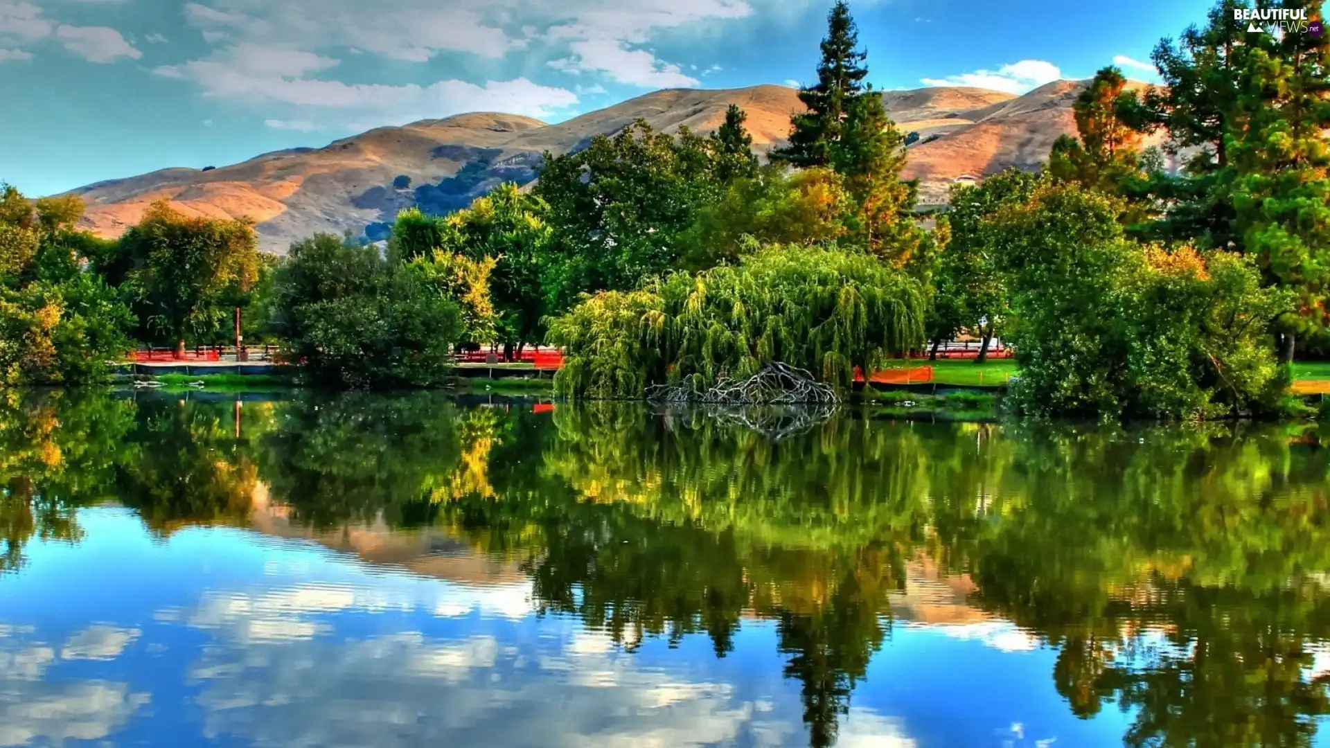 River, viewes, Mountains, trees