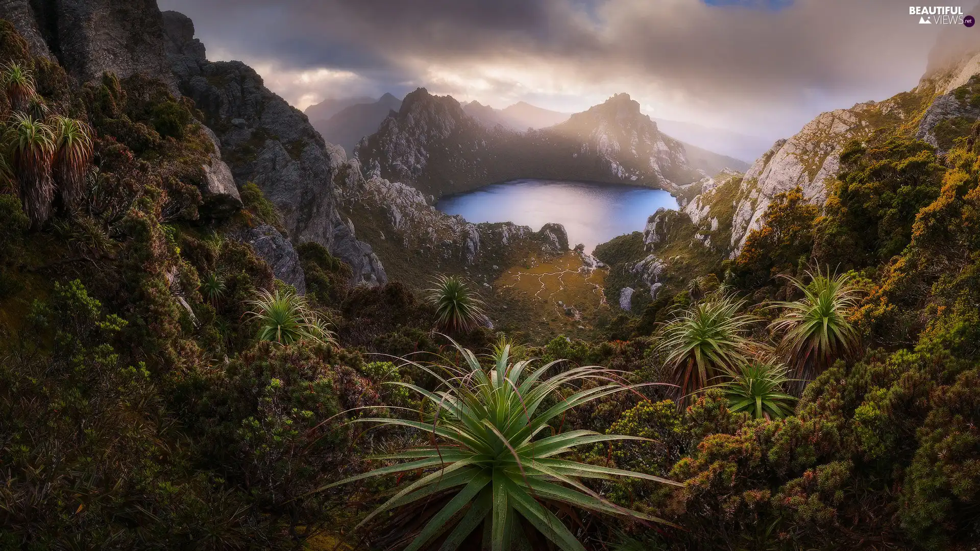 Mountains, Tasmania, Lake Oberon, Southwest National Park, Australia, rocks, Plants