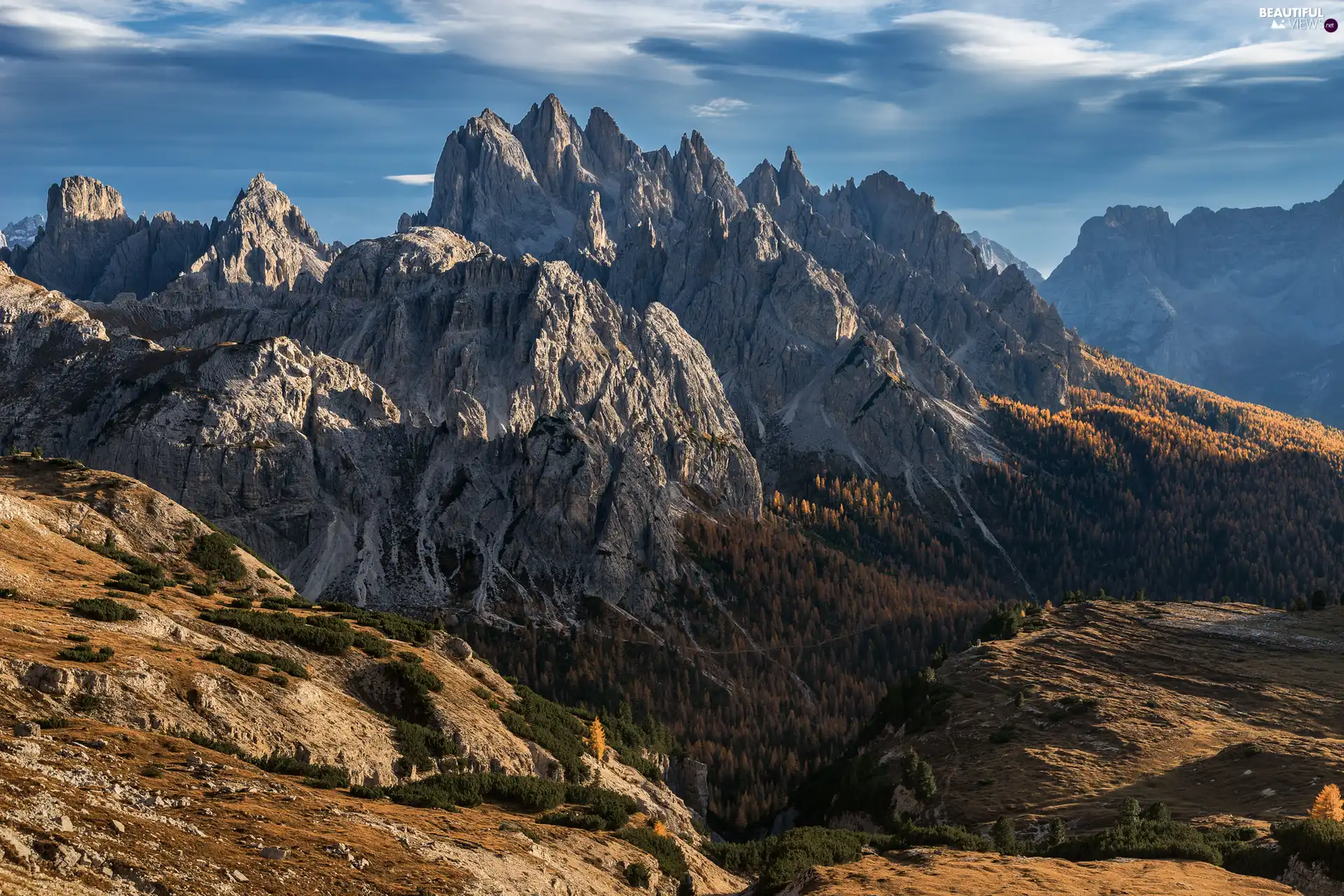 Rocky, rocks, woods, Mountains