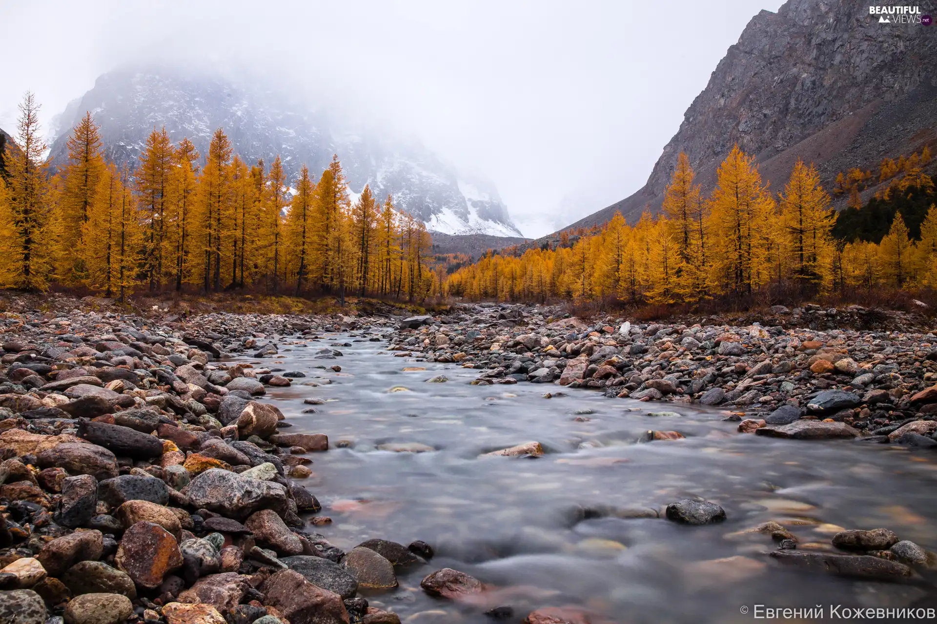 autumn, trees, Russia, viewes, Altai, River, Stones, Mountains