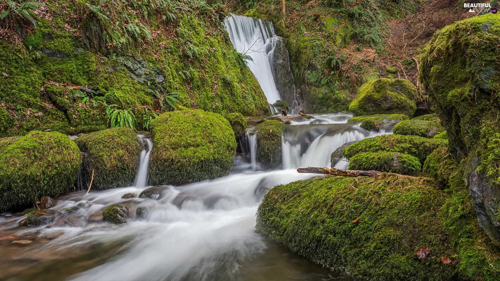 Mountains, Dollar Glen Area, Stones, waterfall, Scotland, Bush, Moss