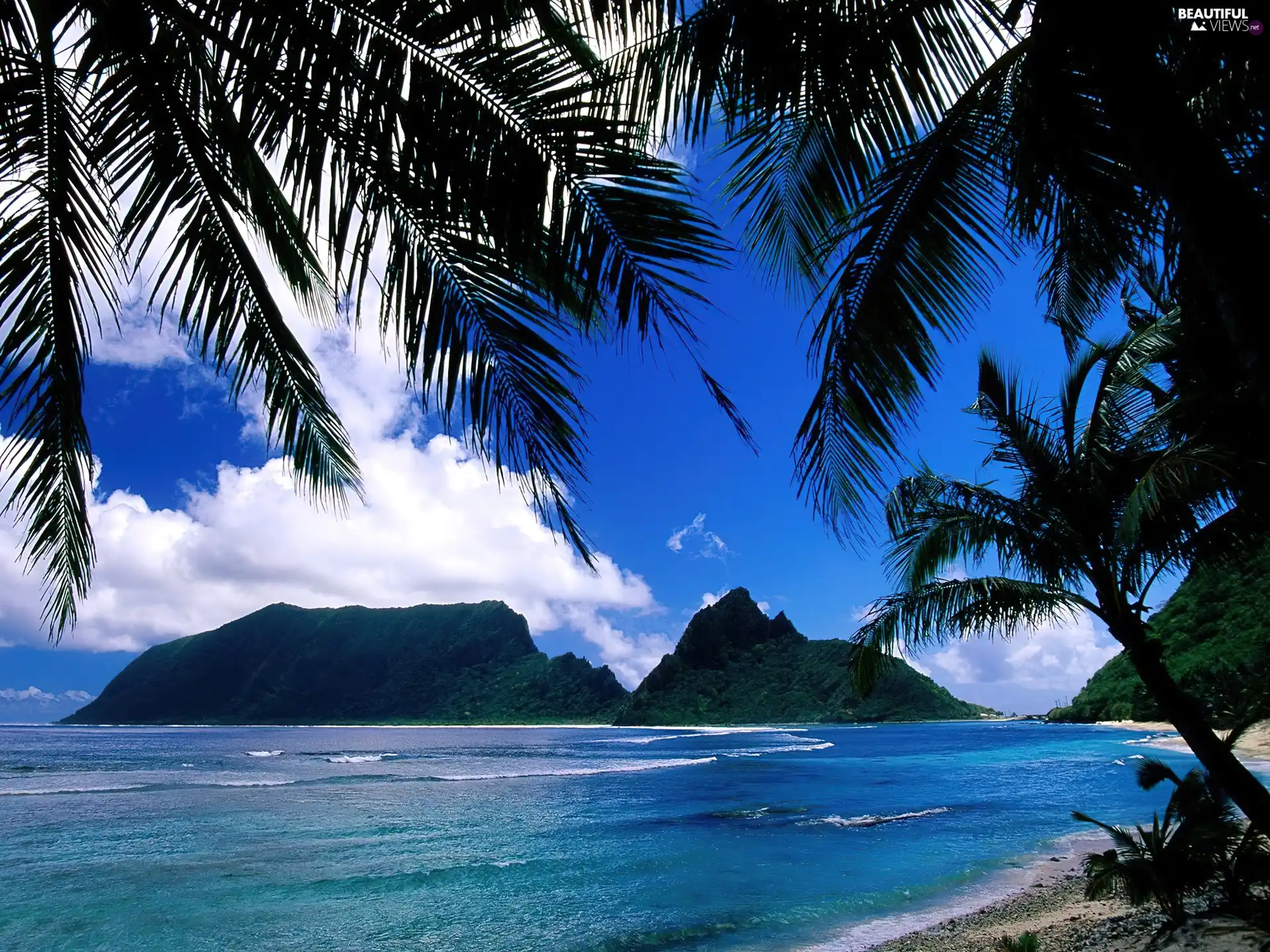 sea, Palms, Mountains, Beaches