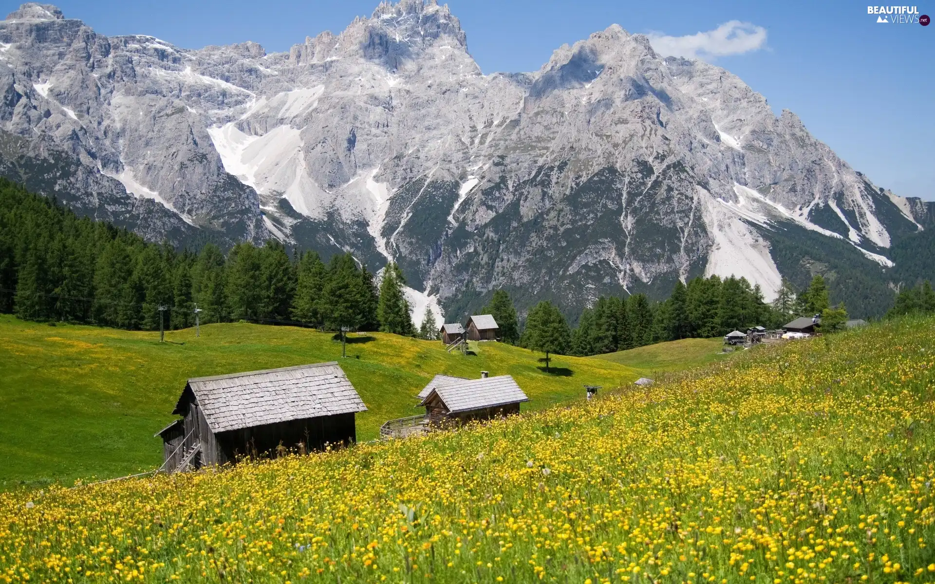 Mountains, Meadow, Sheds