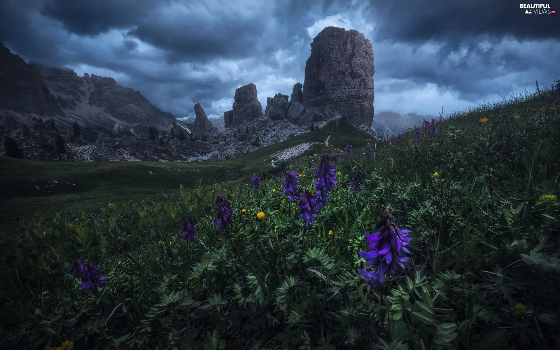 rocks, Flowers, Sky, Mountains, Meadow, Clouds, clouds