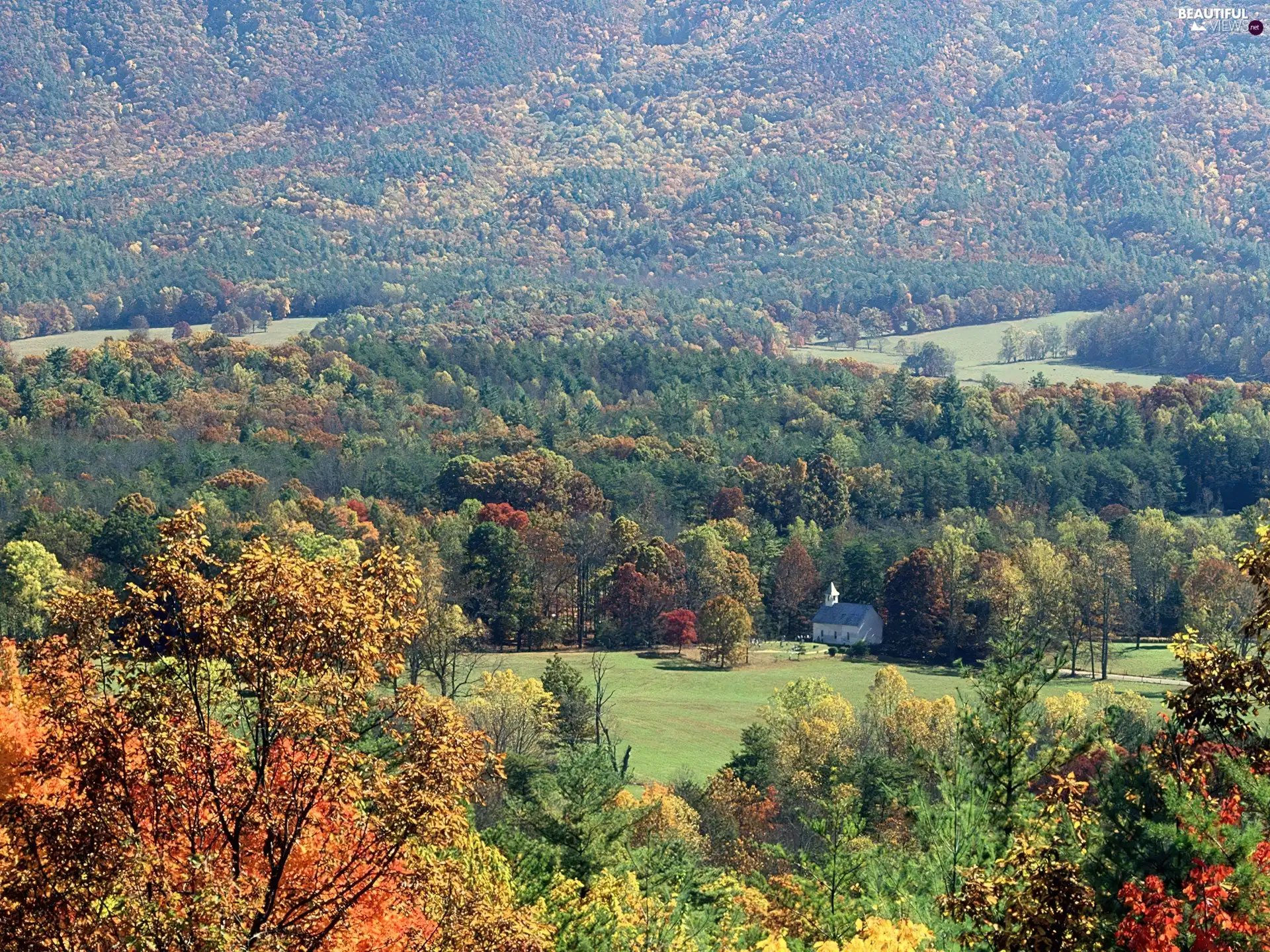 small, forest, Mountains, church