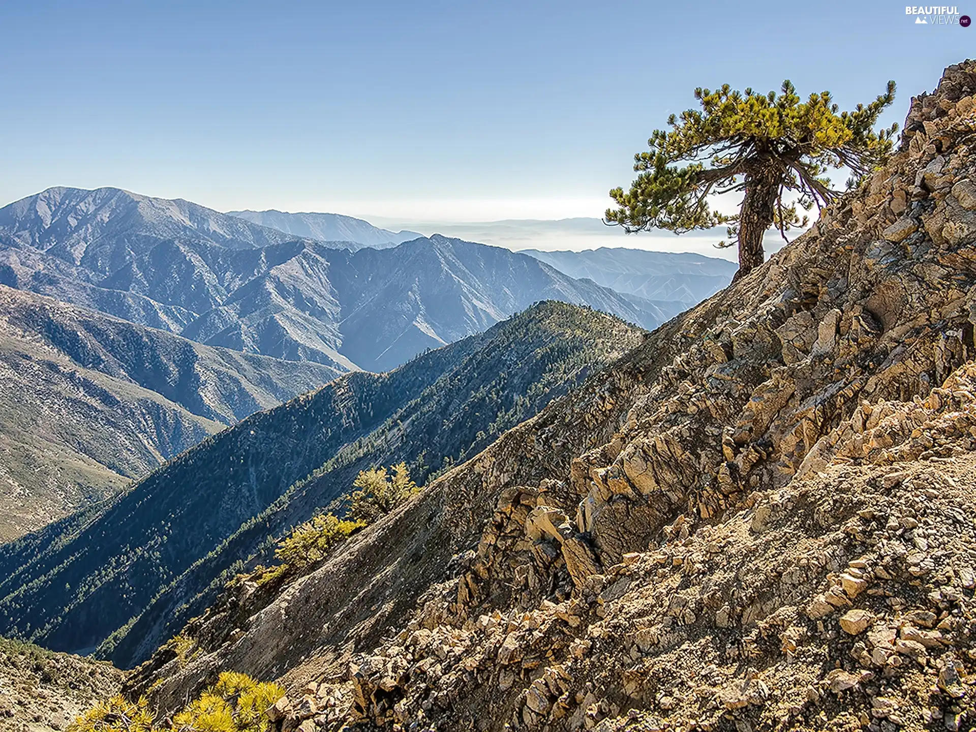 Mountains, lonely, trees