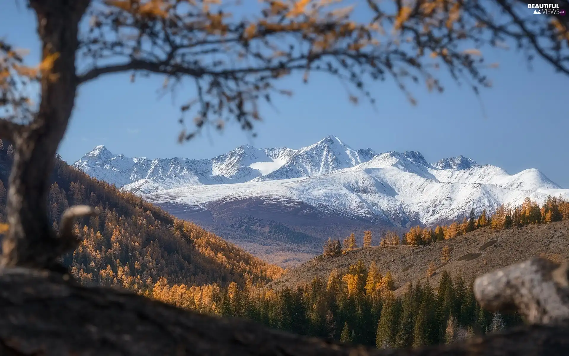 Valley, peaks, trees, Mountains, Snowy, autumn, viewes