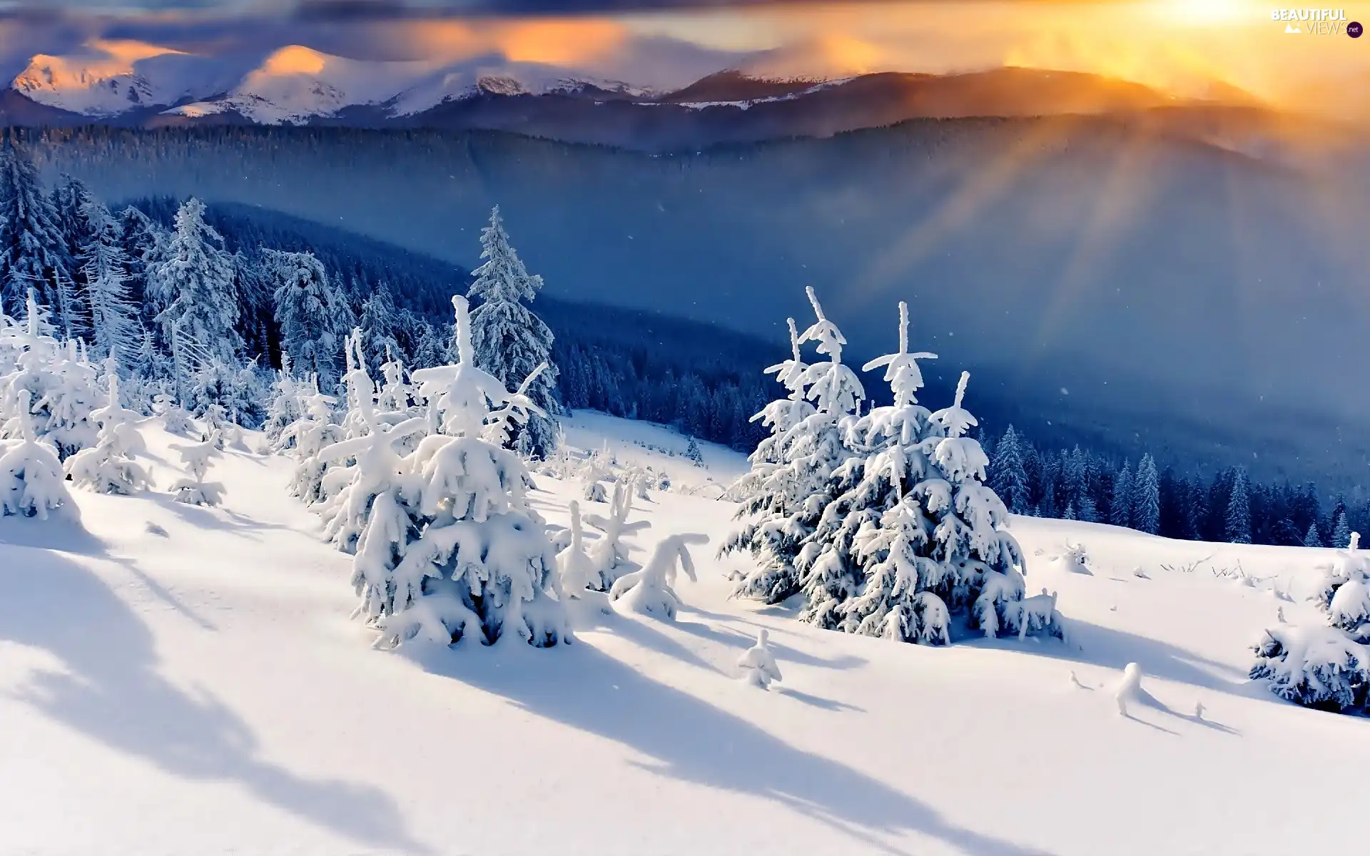 viewes, snow, Great Sunsets, trees, winter, Mountains, Valley