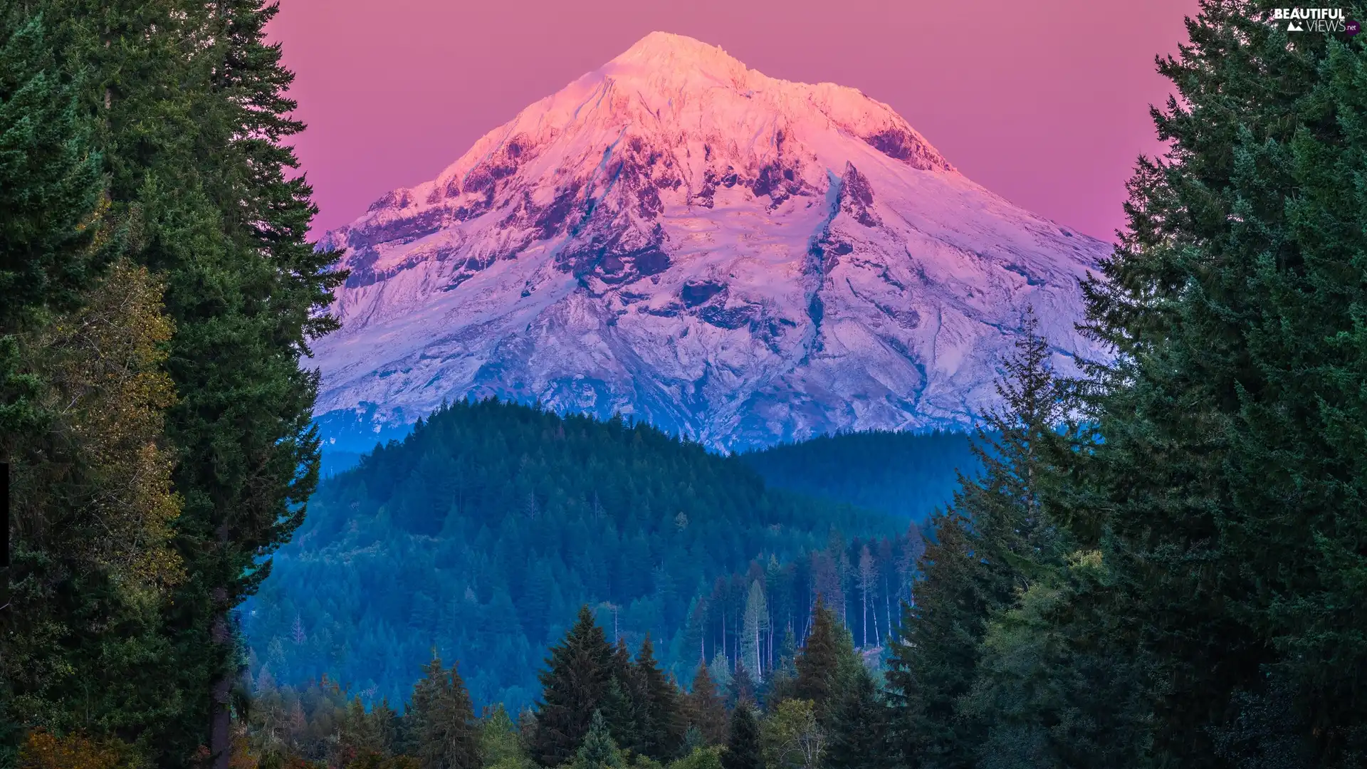 viewes, Stratovolcano, mount, State of Oregon, snow, mountains, Mount Hood, The United States, Spruces, trees