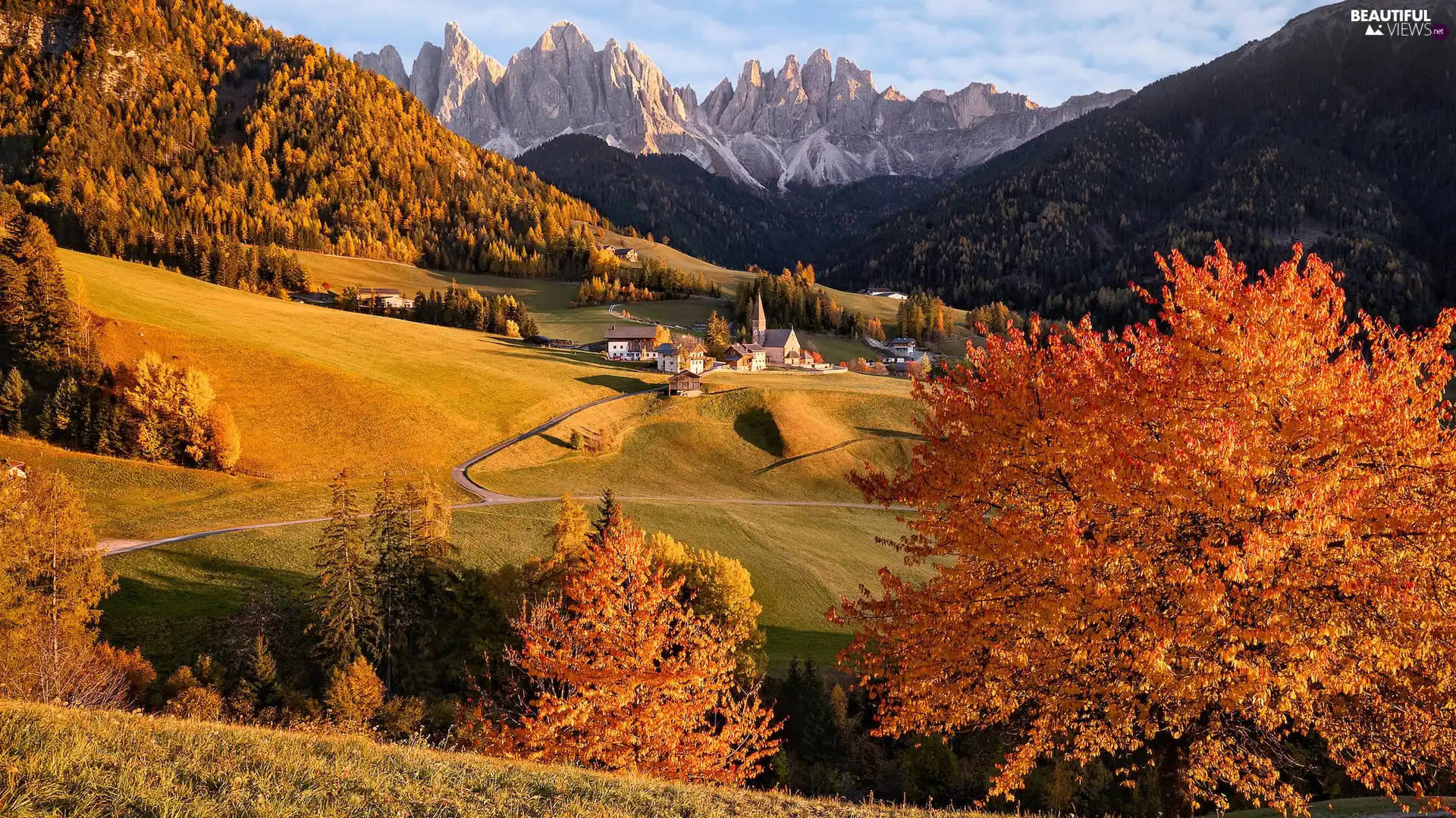Mountains, Italy, Dolomites, Houses, country, Santa Maddalena, trees, viewes, autumn