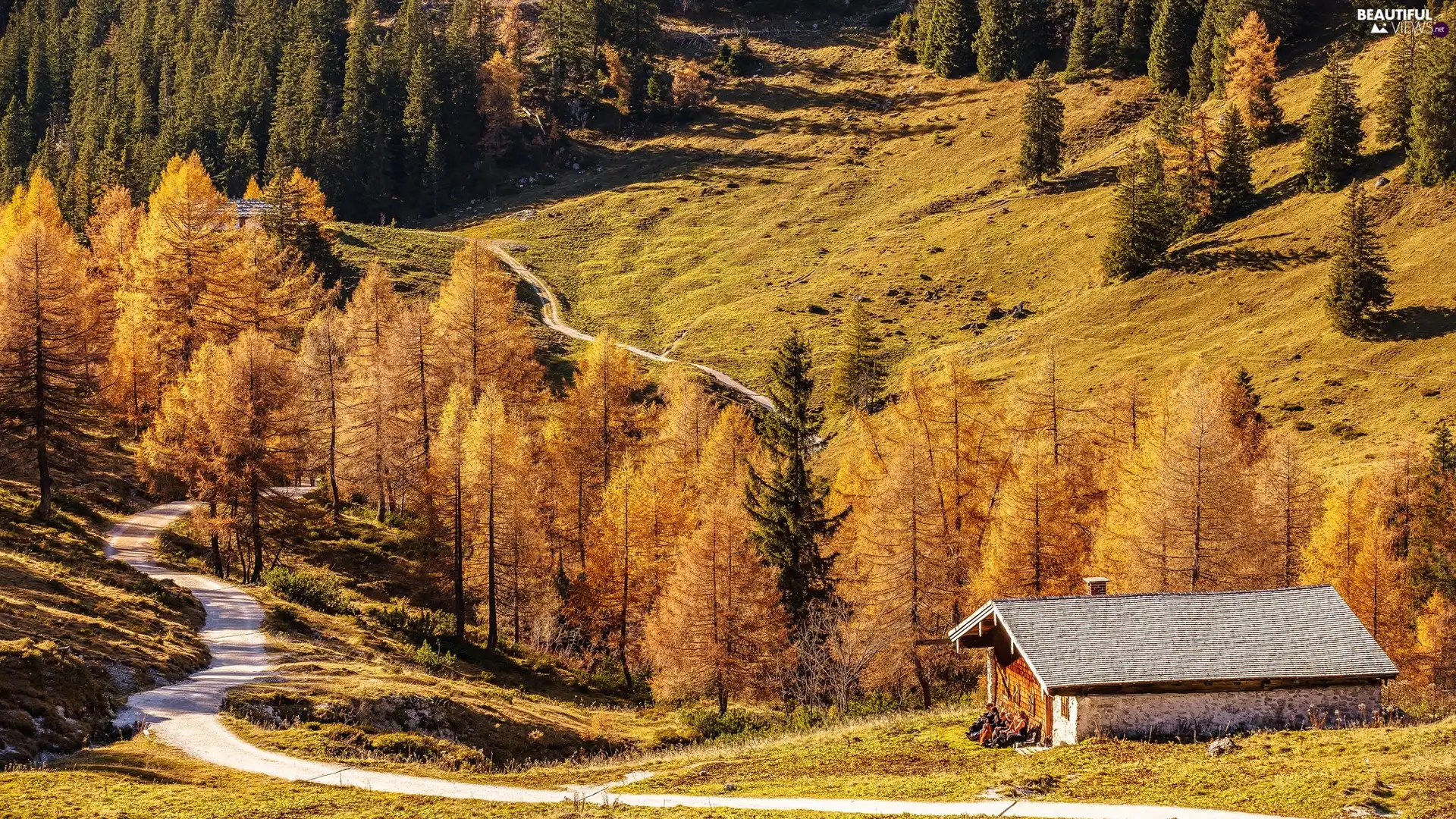 Mountains, autumn, house, Way, Bavaria, Germany, viewes, Berchtesgaden, trees