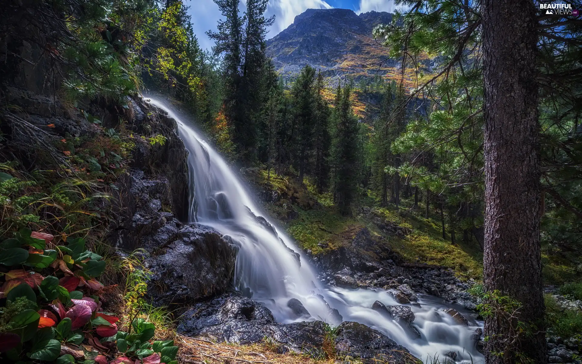 forest, waterfall, viewes, Mountains, Rocks, trees, Plants