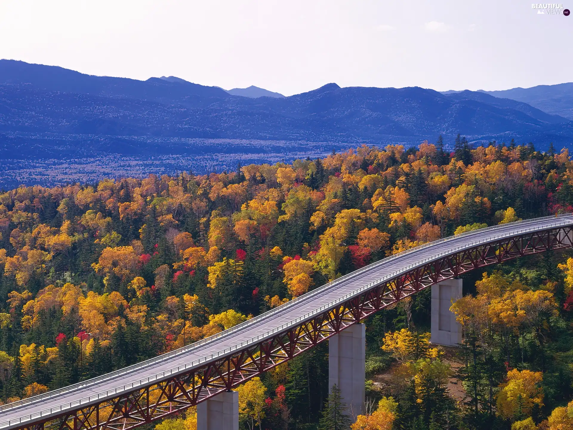 Way, forest, Mountains, bridge