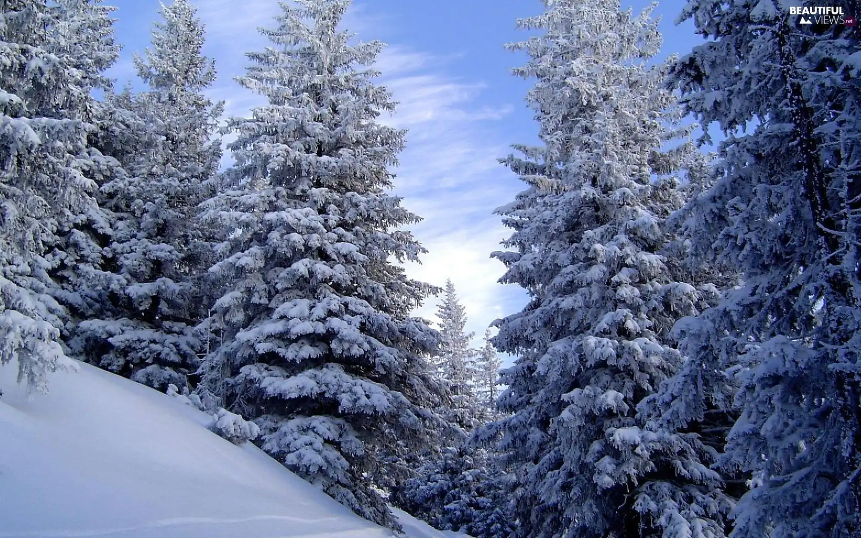 mountains, winter, trees, viewes, Snowy